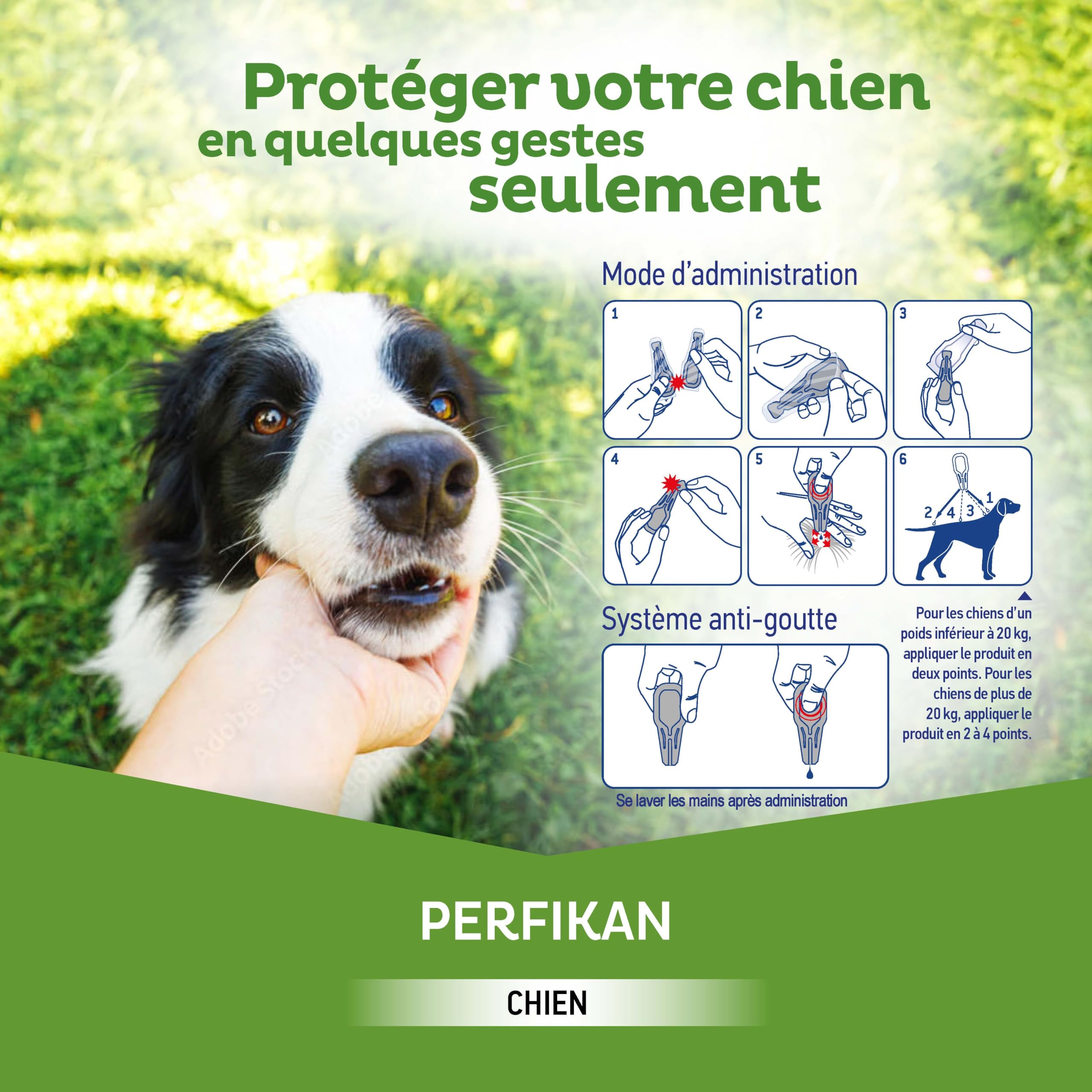 Perfikan Petits Chiens Clément Thékan (4–10 kg) – 67 mg/600 mg – Anti-Puces, Anti-Tiques, Anti-Moustiques et Anti-Phlébotomes – Protège jusqu’à 4 semaines – Fabriqué en France – 4 pipettes Spot On
