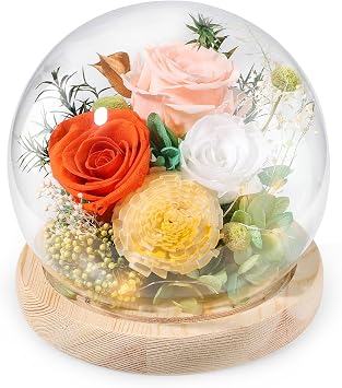 FIACO Preserved Rose Birthday Gift for Women Forever Fresh Flowers for Prime Delivery Gift for Mom Grandma Wife Valentines Mothers Day Christmas Anniversary Eternal Roses in Glass Dome
