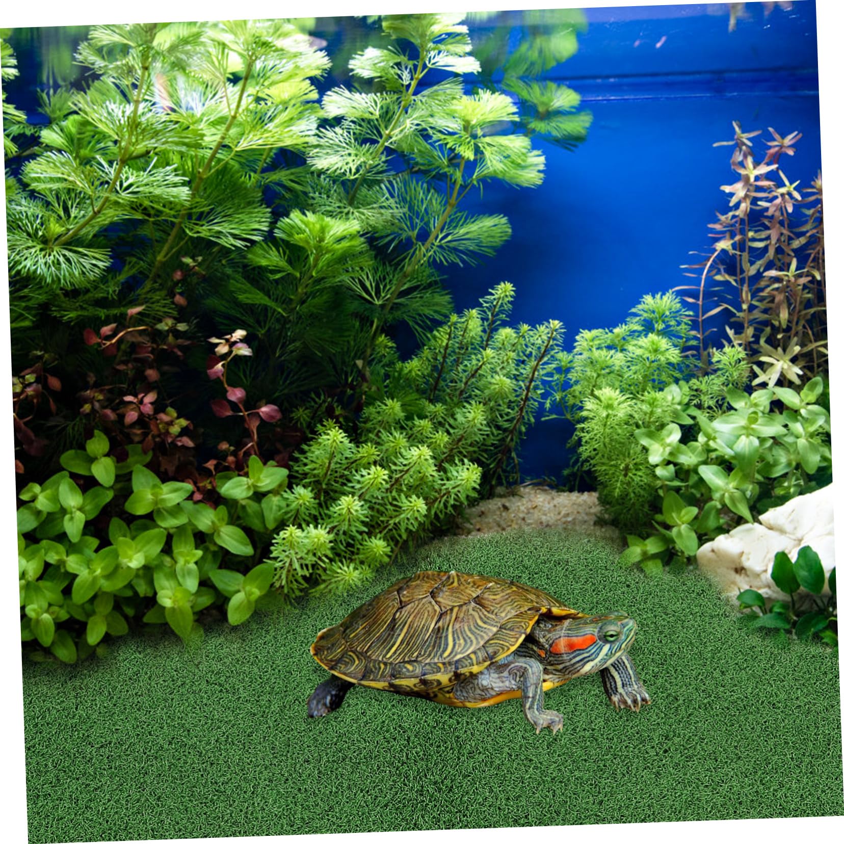 Schildkröten Plattform Mit Kunstrasen - 50x25cm Für Aquarium