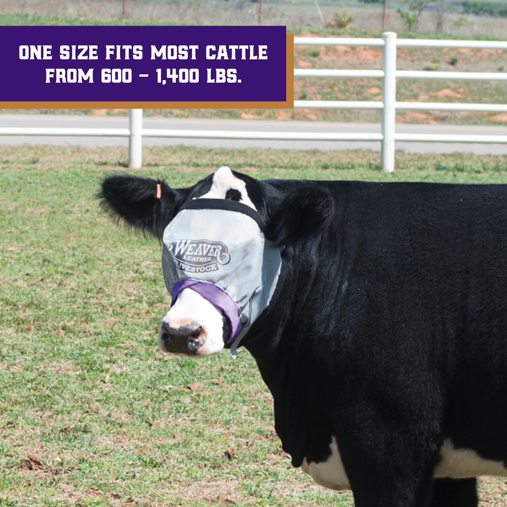 Weaver Leather Livestock ProCool Couverture en maille avec passepoil réfléchissant Bleu Taille XL