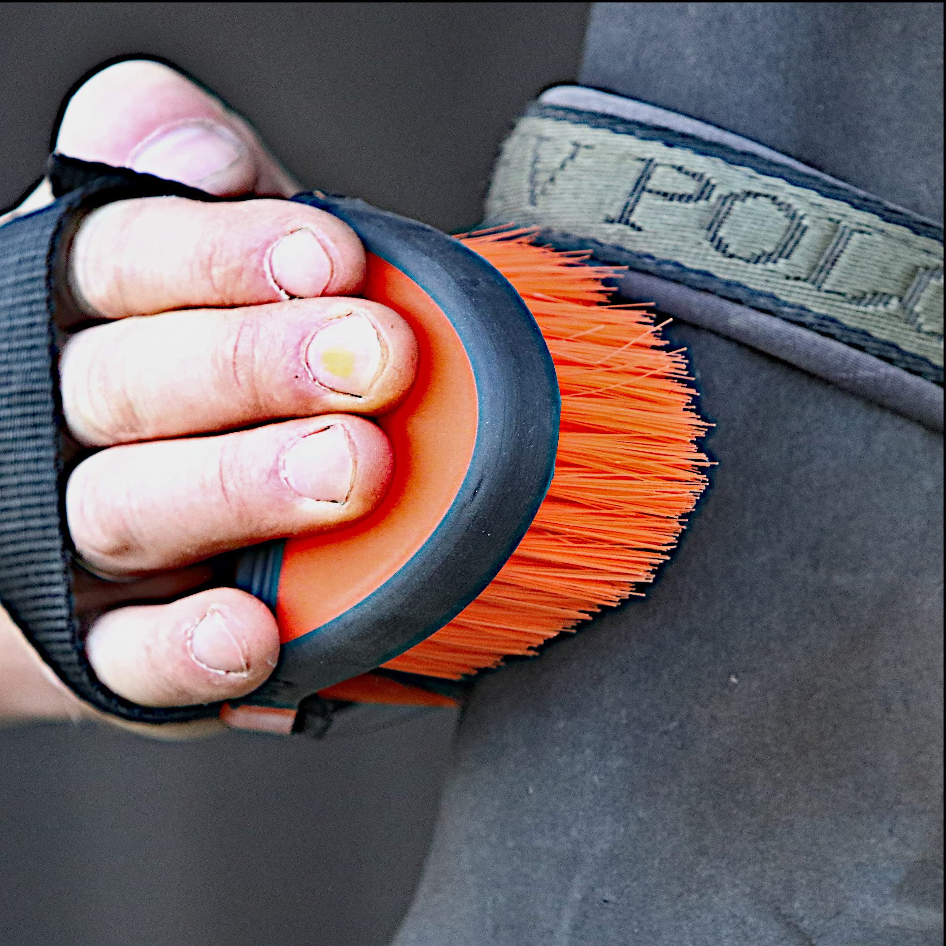 brosse pour chevaux – soin du pelage