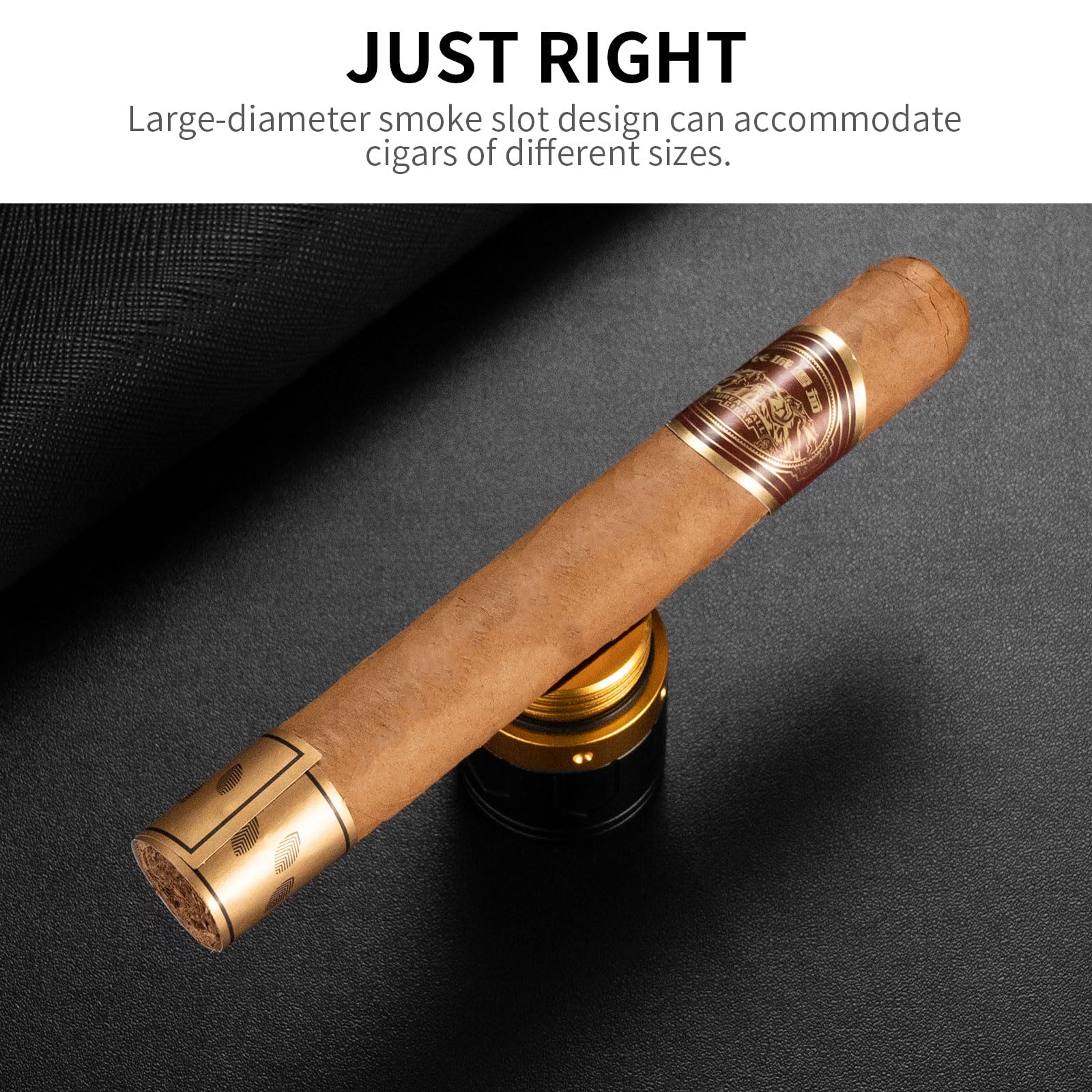 CIGARLOONG Zigarren-Rohr, 3-in-1-Zigarren-Humidor mit Hygrometer, Zigarrenlocher und Zigarrenhalter, langlebiges Zigarrenetui für Reisen im Freien, tragbare Aufbewahrung (Gold)