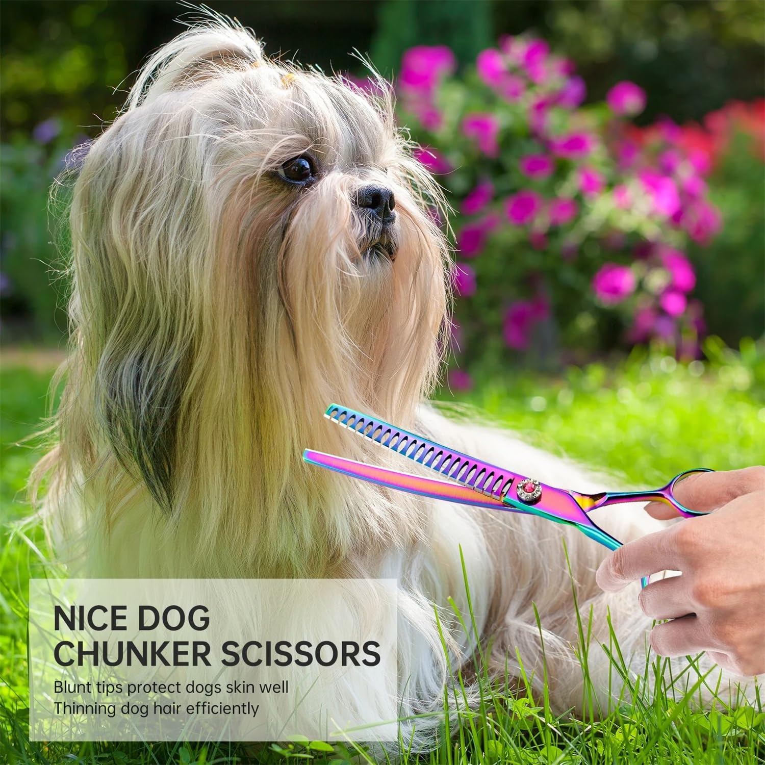 Ciseaux de toilettage 15 cm - Ciseaux incurvés professionnels - En acier inoxydable japonais - Pour chiens et chats - Réduction de 65 % d'épaisseur - Violet