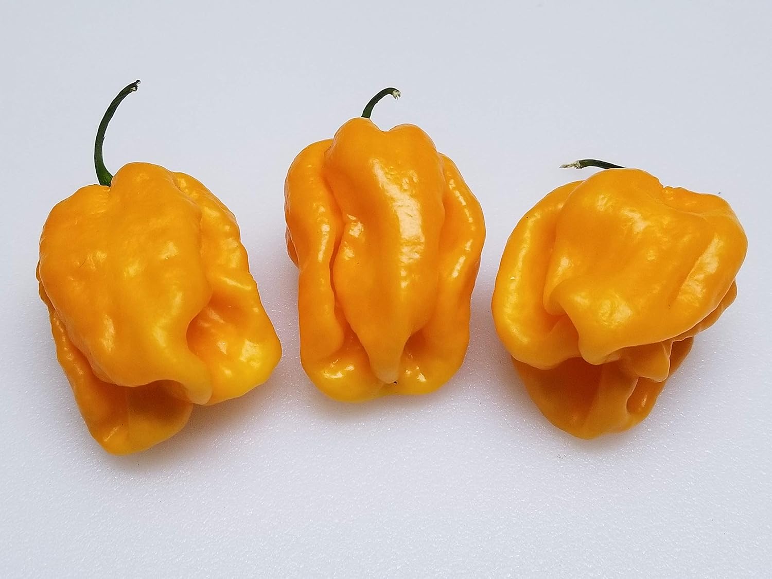 Habanero Tabaquite Pepper 10+ Seeds Patio, Lawn & Garden