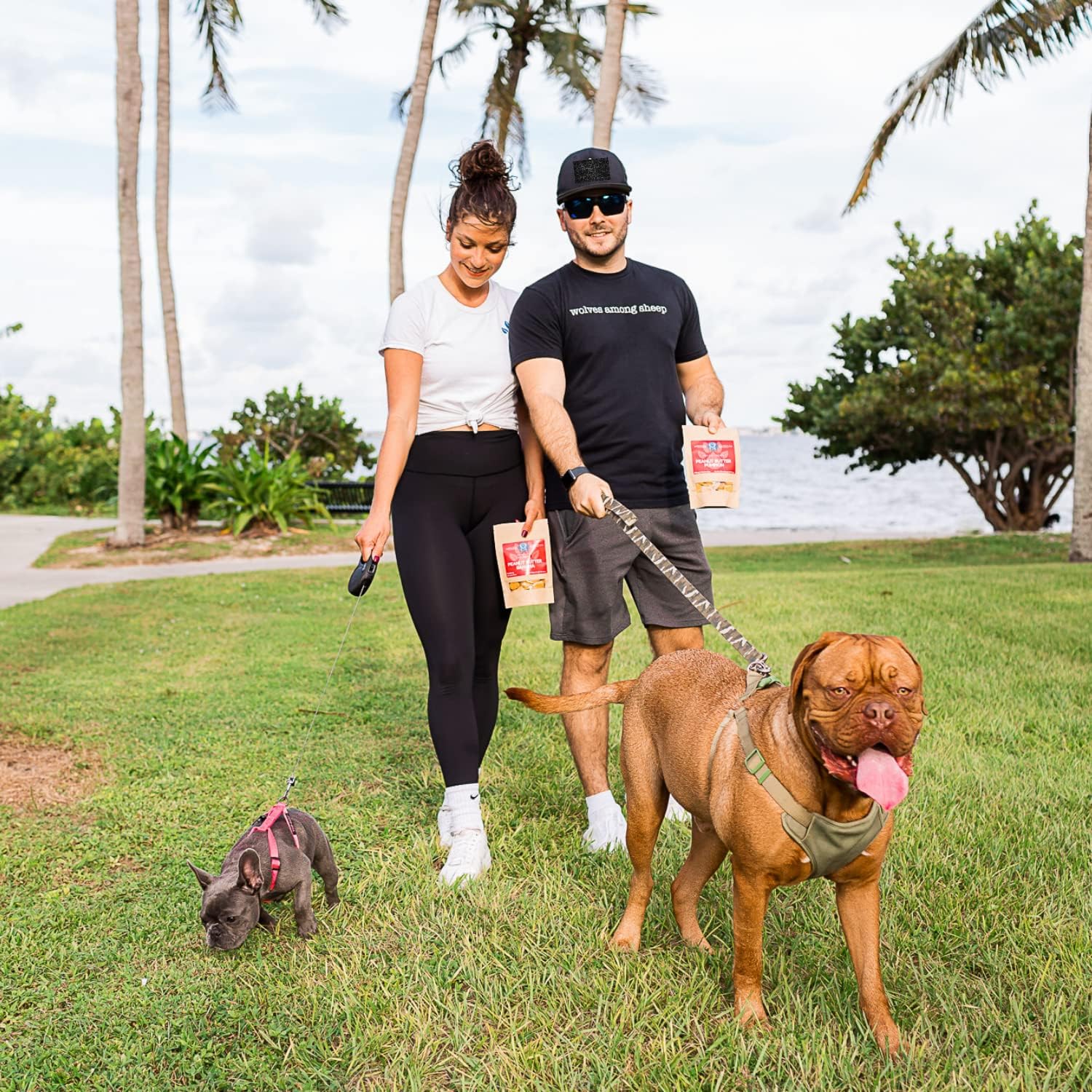 Redbone Nutrition – All Natural Hemp Seed Treats for Dogs – 30 Pieces - Inflammatory Pain Relief Supplement Chews for Dog Hip & Joint Care - Made in USA with Organic Hemp Oil, Vitamin B & E - Bacon : Pet Supplies