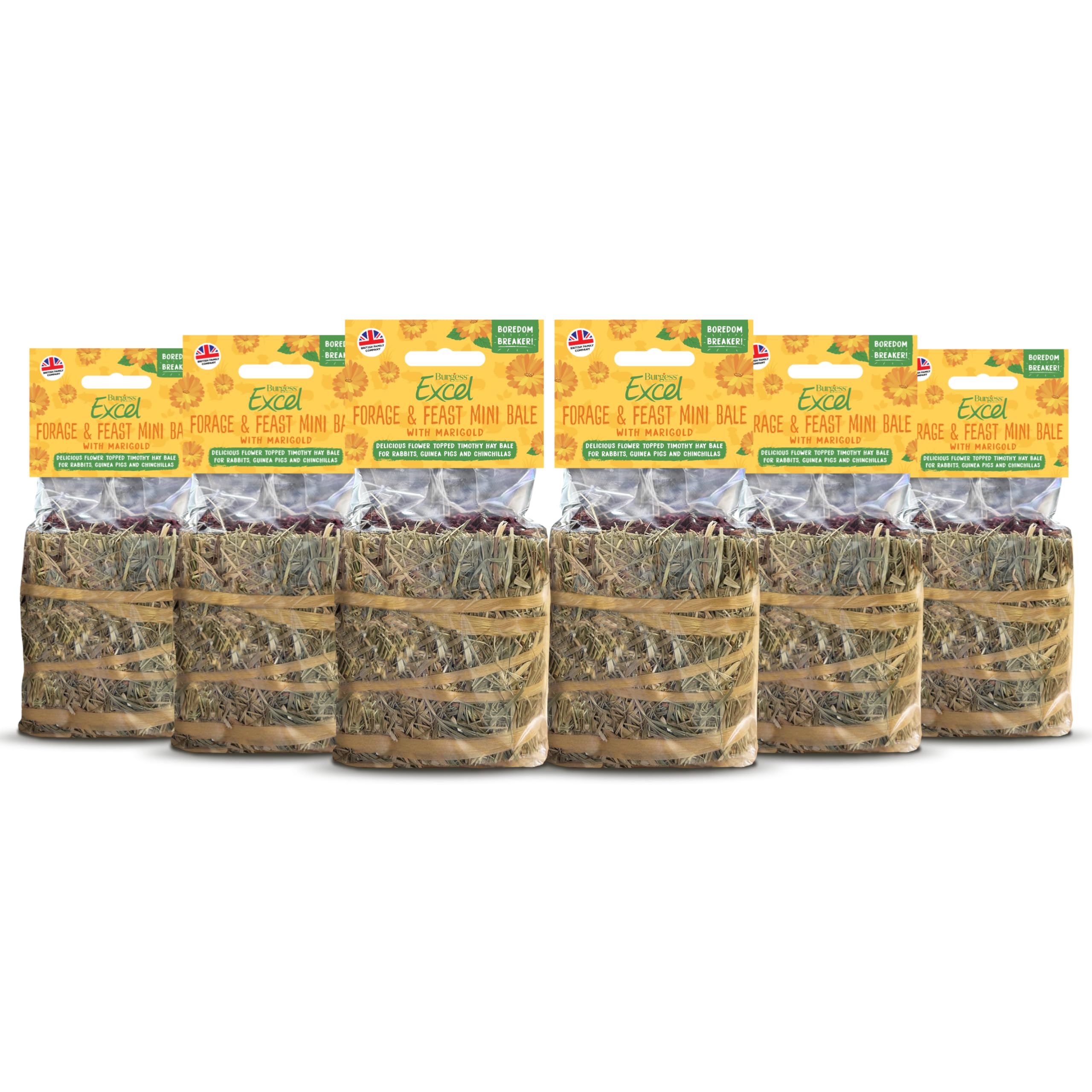 Burgess Excel Forage & Feast Mini Bale with Marigold, 600g – Mini Hay Bale Treat for Rabbits & Guinea Pigs – Natural Snack Topped with Marigold (Pack of 6)