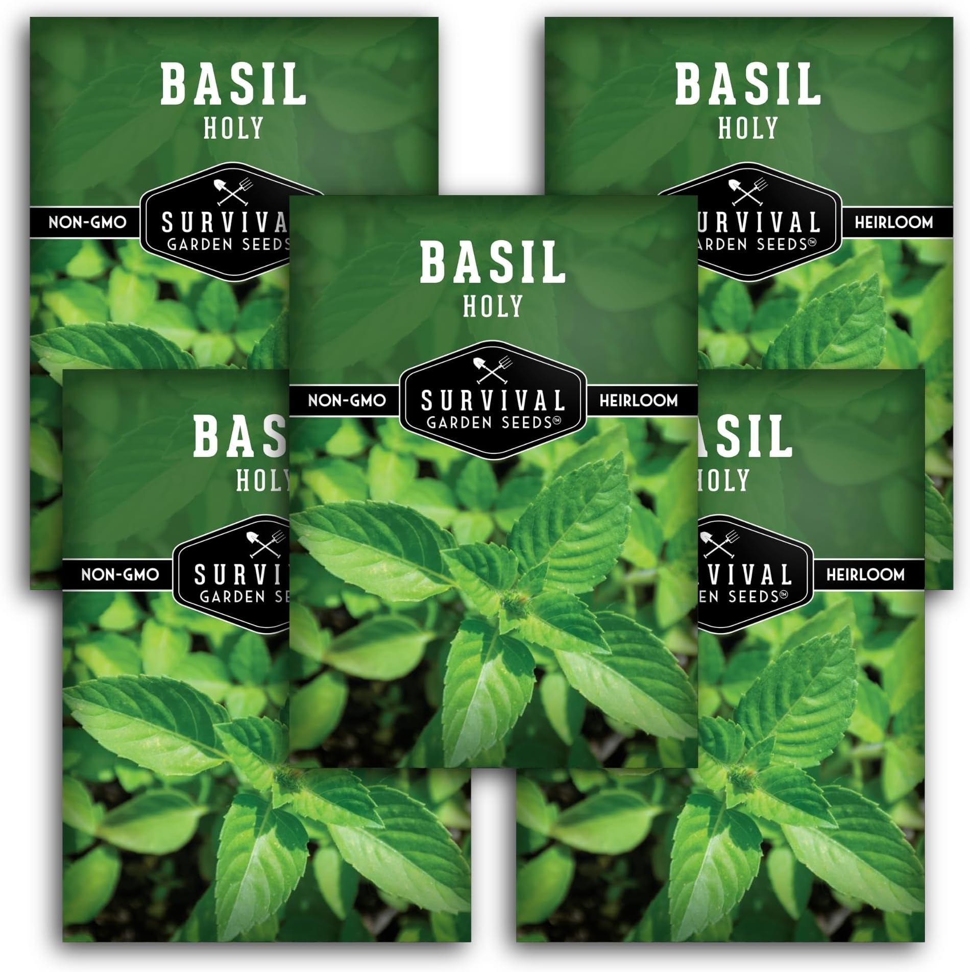 Holy Basil Seed for Planting - Indian Sacred Herb Tulsi Seeds to Grow in Your Home Vegetable Garden - Non-GMO Heirloom Variety - Survival Garden Seeds (5 Packs)