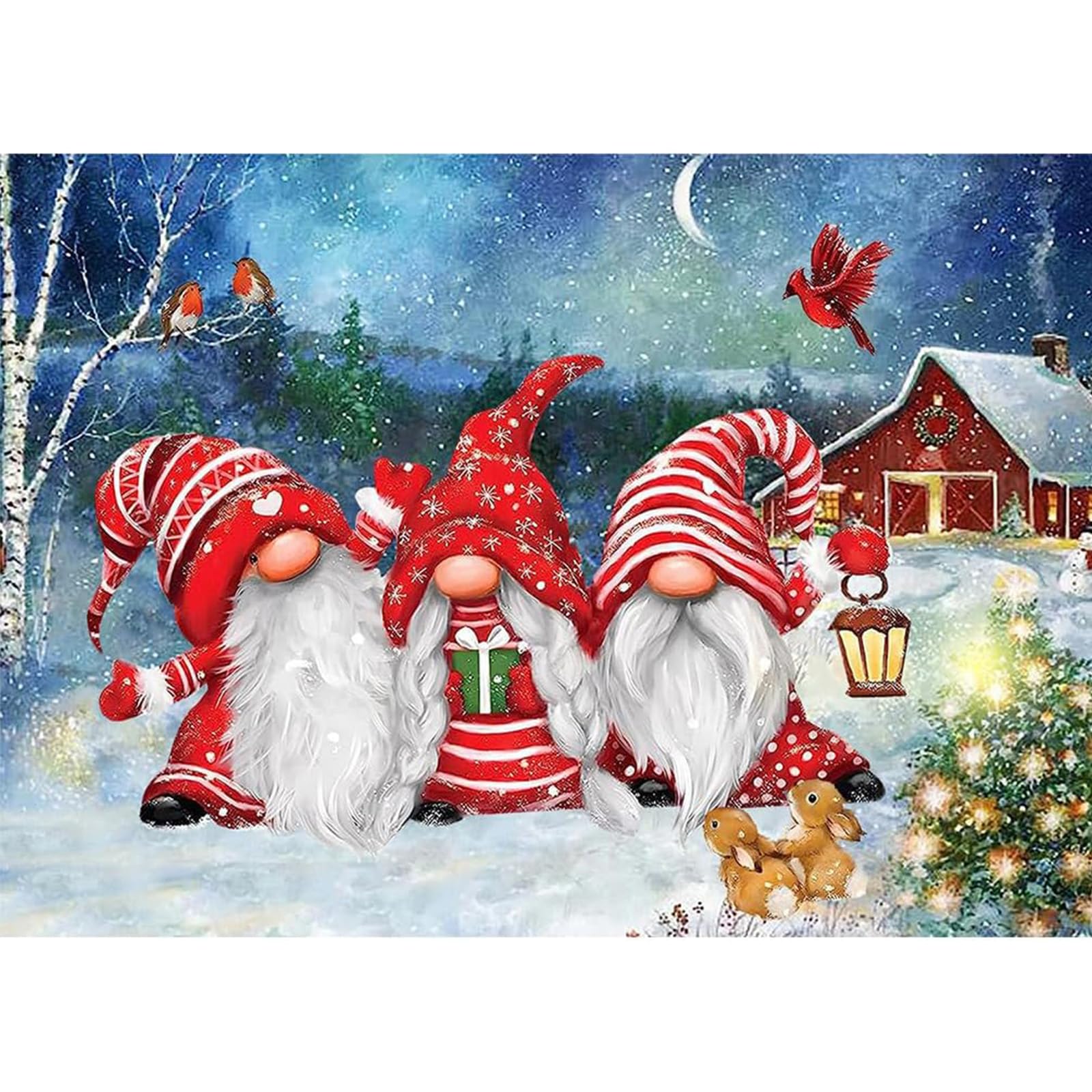 Kit Diamond Painting Gnomi - 30x40 Cm, Con Diamantini 5D, Per Adulti E Bambini, Decorazione Casa - Foto 5