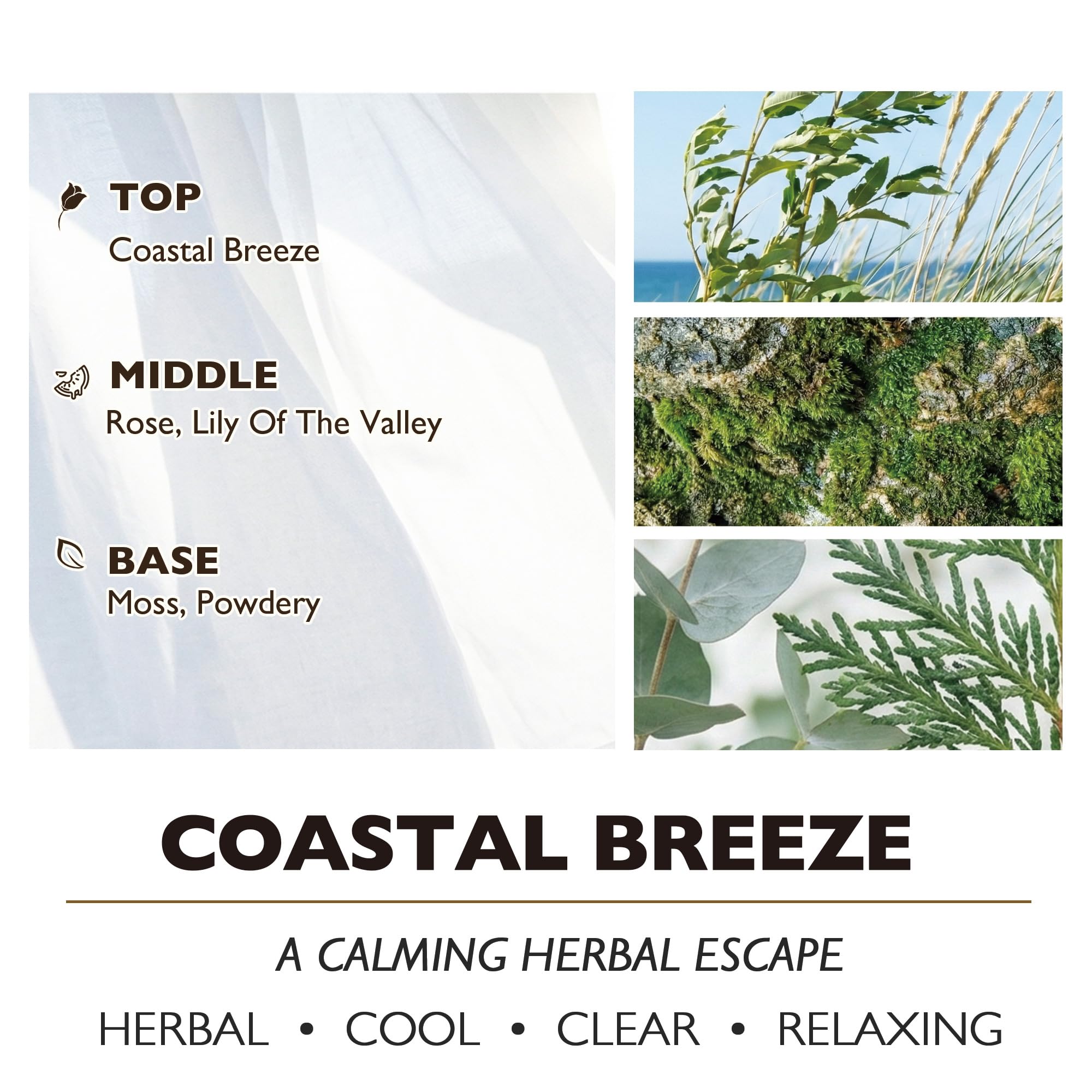 HomeLights Vela en frasco grande | Velas aromáticas de larga duración de 4 mechas, vela de cera de soja natural de 18oz con diseño minimalista escandinavo, Brisa Costera