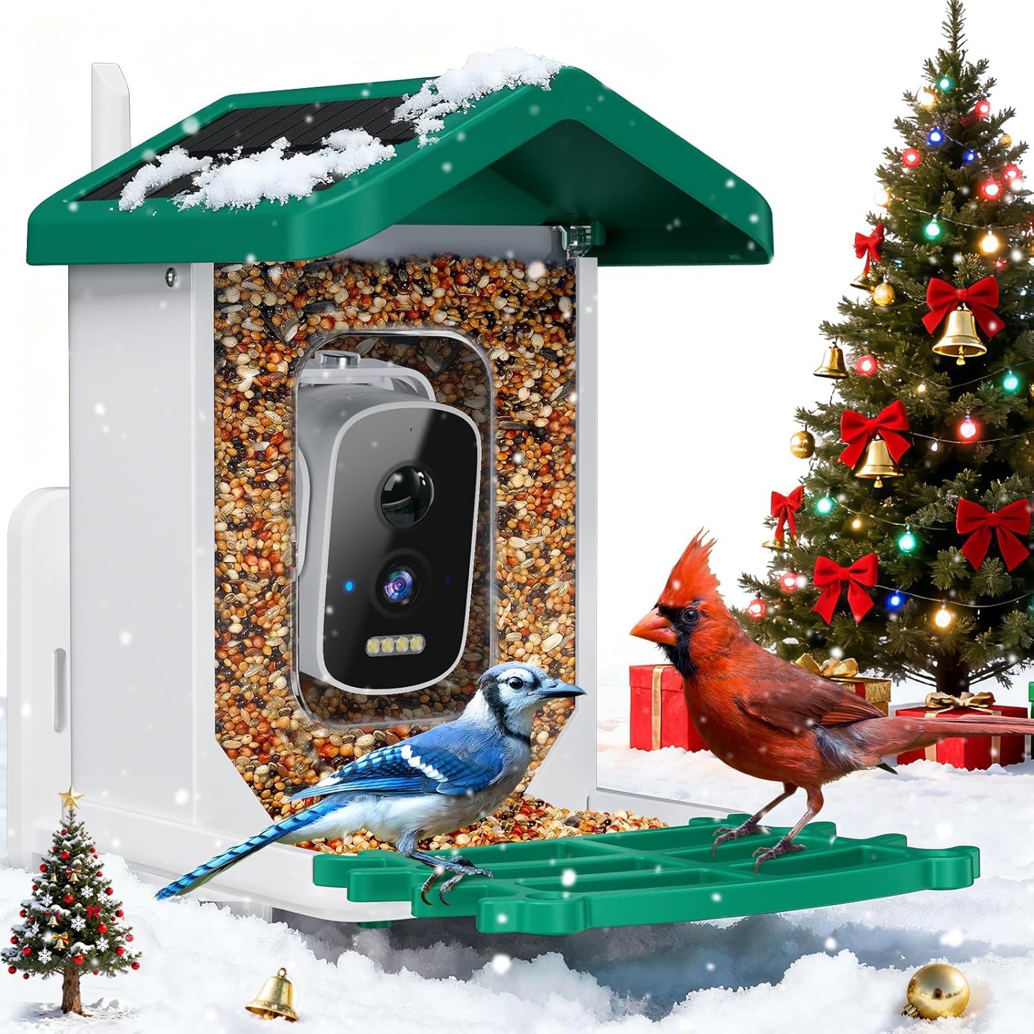 Smart Bird Feeder with Camera