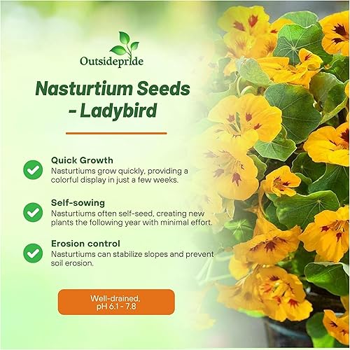 Miniatura 3 de Outsidepride Tom Thumb - Semillas de capuchina de mariquita  200 piezas anuales, fáciles de cultivar y versátiles, semillas de flores para plantar