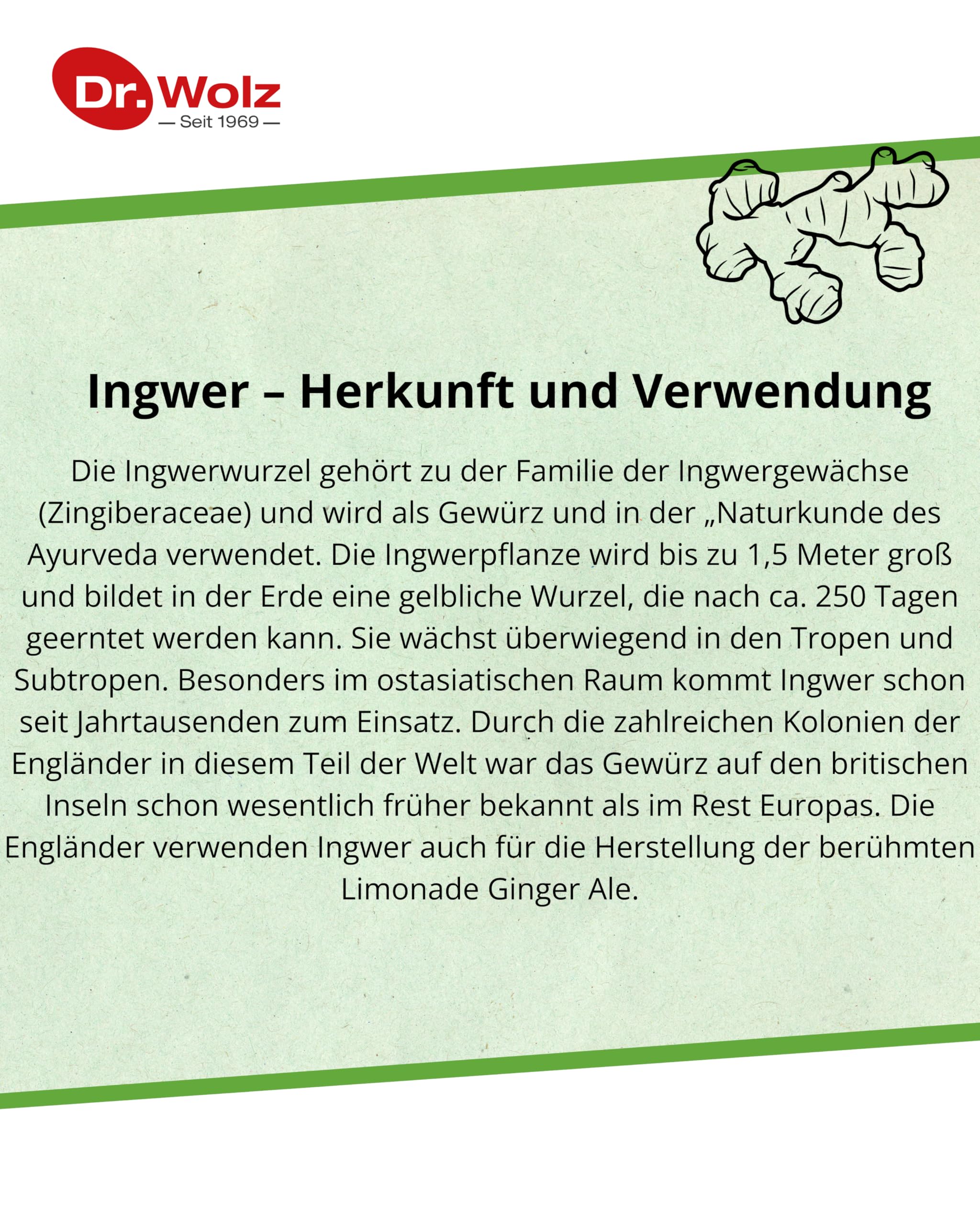 Dr. Wolz Ingwer-Extrakt Kapseln, mit einem hohen Anteil an Gingerol aus 500mg Ingwerwurzel-Extrakt, Rückstandskontrolliert und deutsche Herstellung, 120 Kapseln