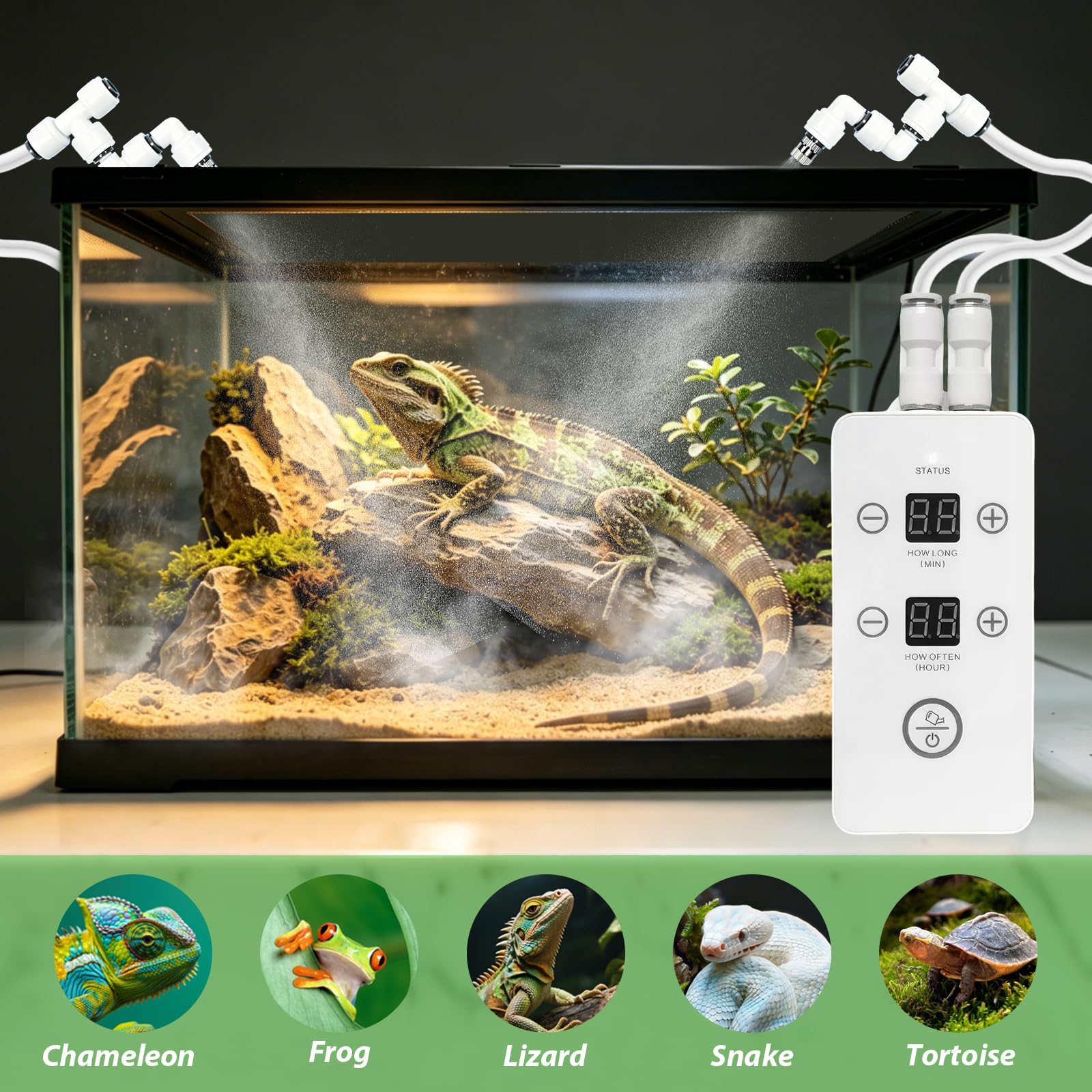 Impianto di irrigazione per terrario, umidificatore intelligente per rettili, con timer e ugelli di spruzzo, regolabile a 360°, per terrario, foresta pluviale, terrari, anfibi, rettili