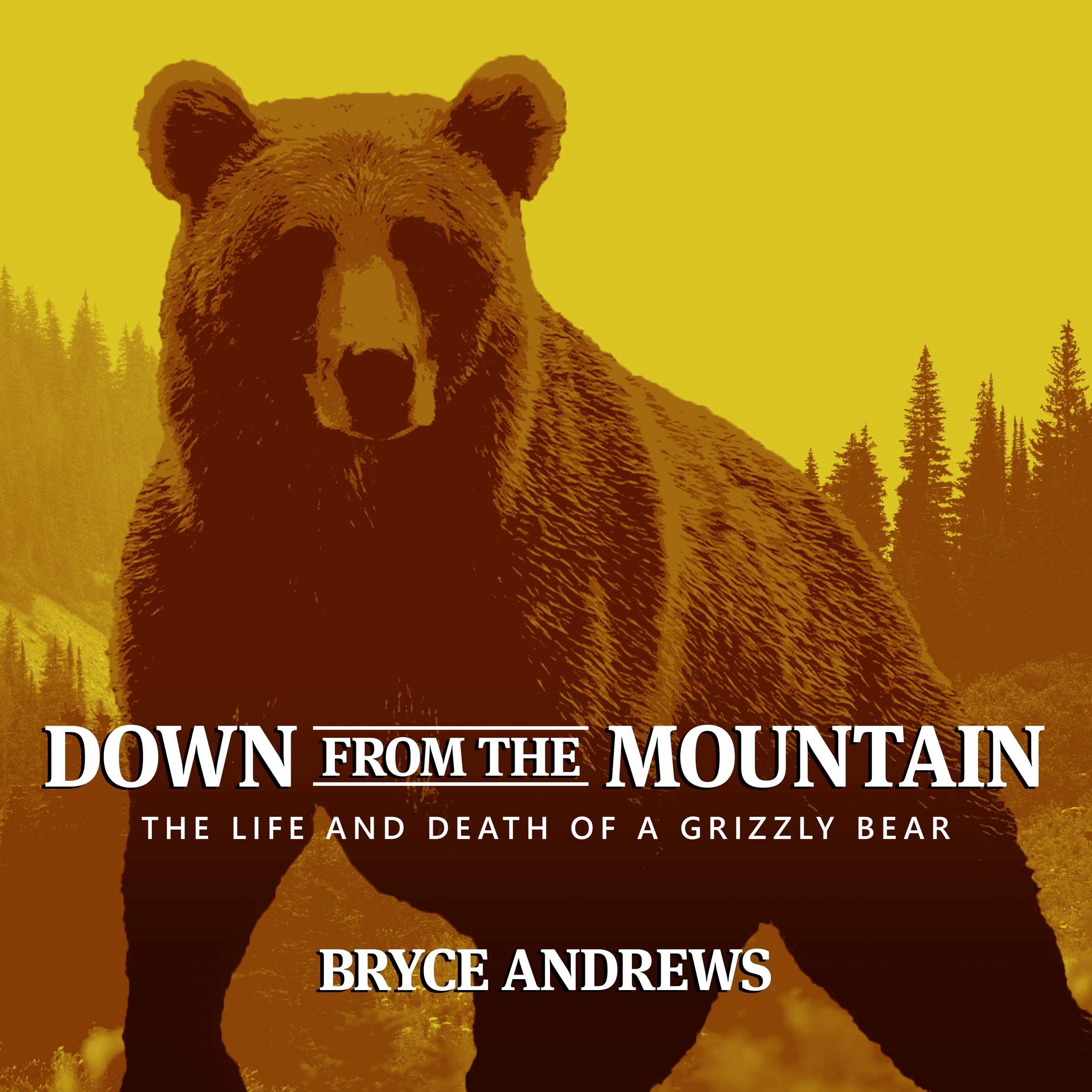 Cover art for Down from the Mountain