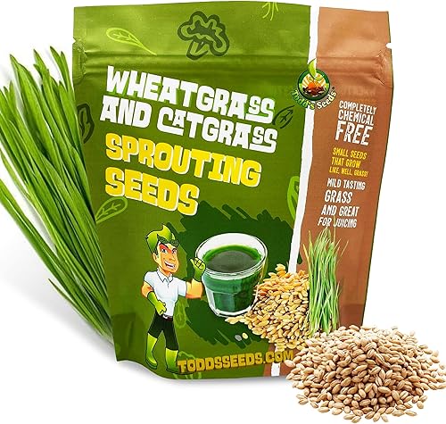 Todd's Seeds Semillas de pasto de trigo trigo rojo duro de invierno, sin OMG, sin químicos, alta germinación (12 libra)