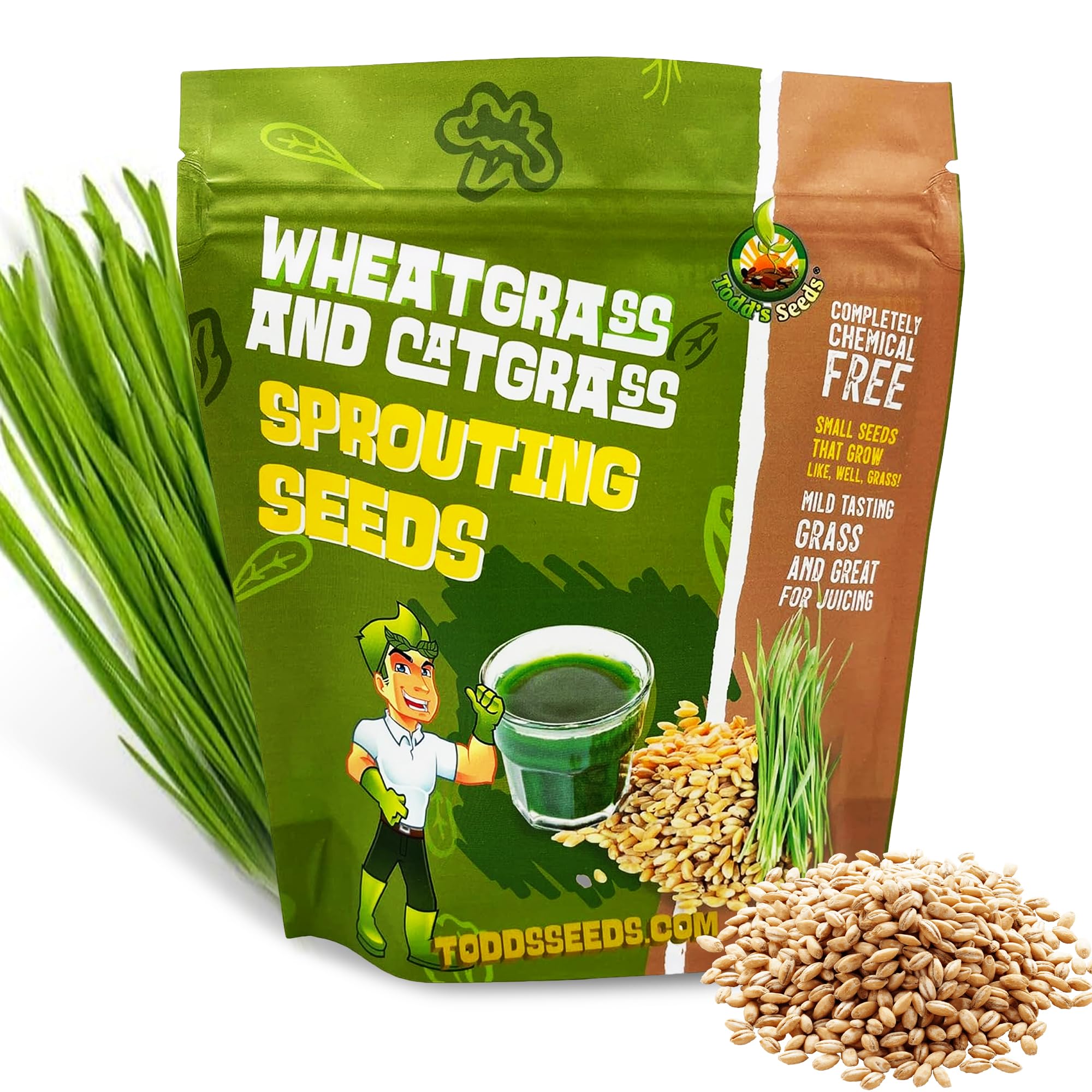 Todd's Seeds Wheatgrass Seeds; Hard Red Winter Wheat, Non-GMO, Chemical Free, High Germination (1/4 Pound)