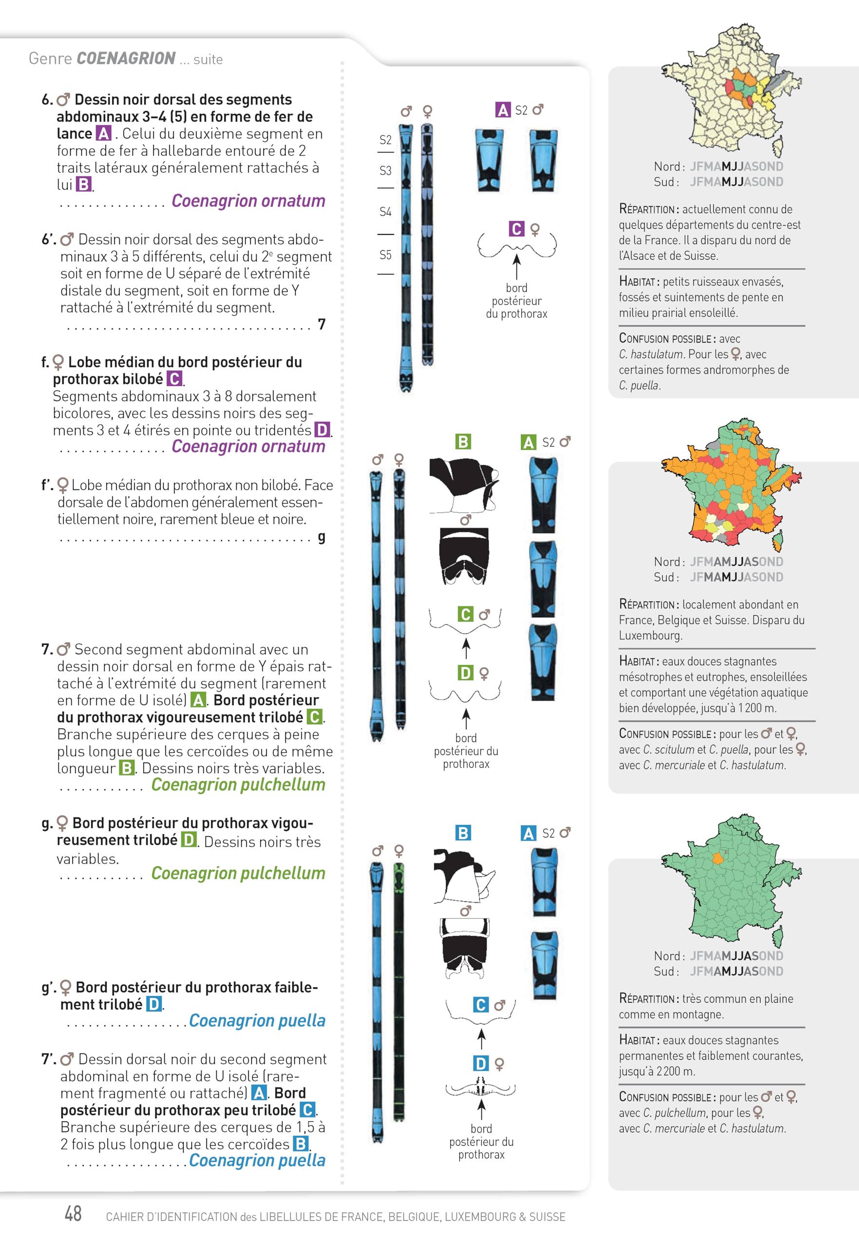 Cahier d'identification des libellules de France, Belgique, Luxembourg et Suisse (3e édition)