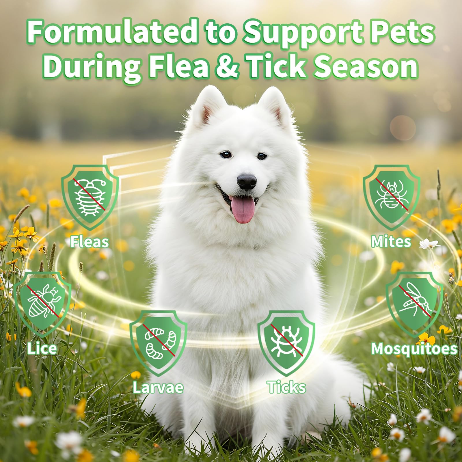 Oral Flea & Tick Support for Dogs Herbal Liquid with Multivitamins - Image 2