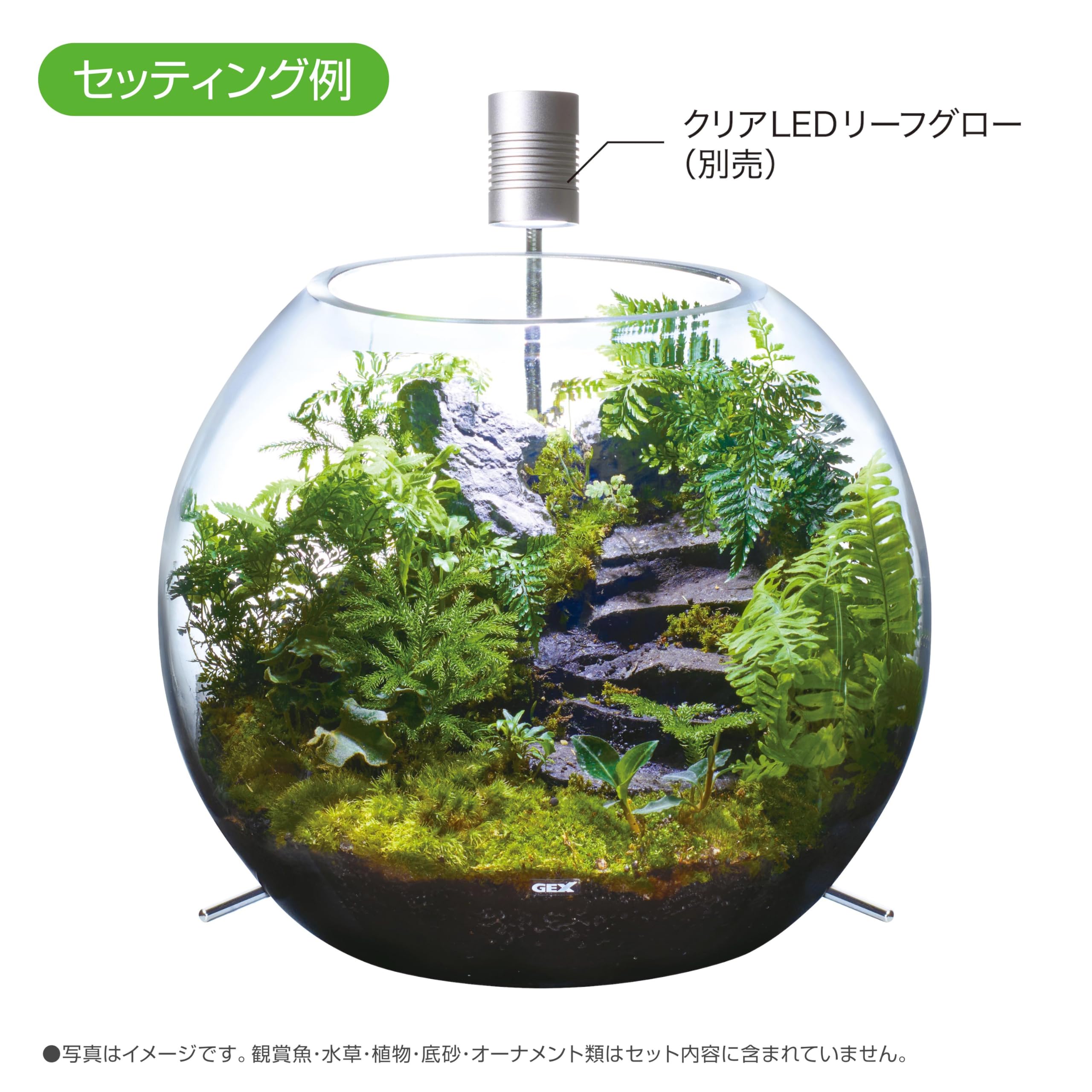 Amazon.co.jp: ジェックス グラスアクア ビッグスフィア アクアリウム