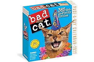 Bad Cat Page-a-Day Calendar 2022: 365 Not-So-Pretty Kitties