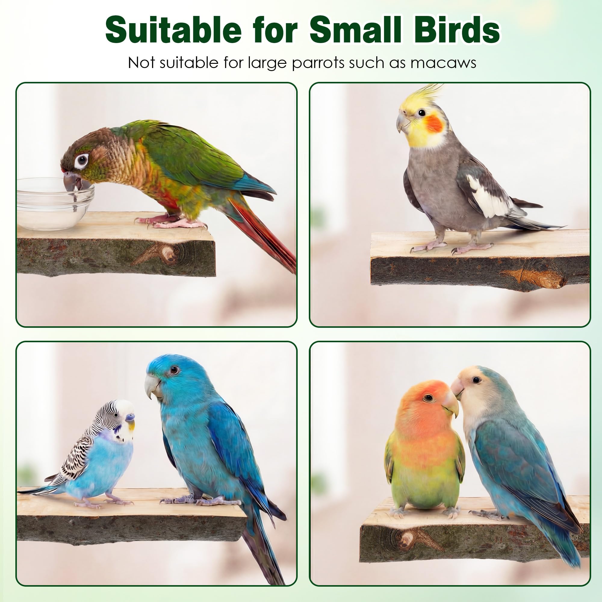 Saillong 3 Pack Natural Wood Bird Perch, Parrot Platforms Stand, Comfortable Resting Perch for Eating, Drinking & Foot Health, Chewable Standing Cage Accessories, for Parakeet, Cockatiels, Lovebirds - image 7