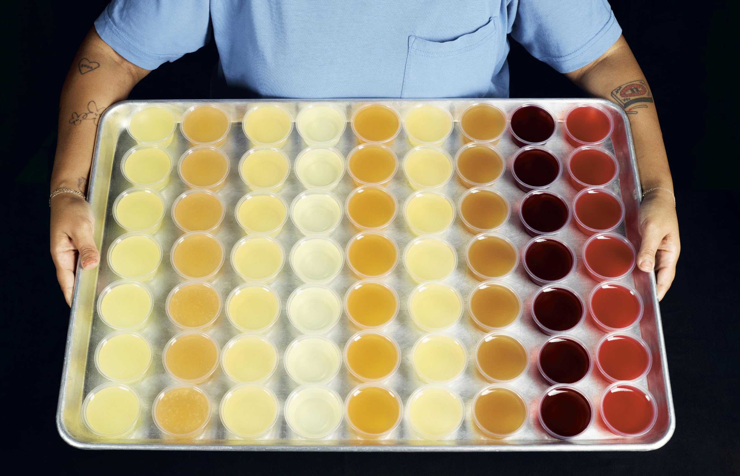 Solid Wiggles /anglais: Recipes and Techniques for Phenomenal Jelly Shots and Cakes