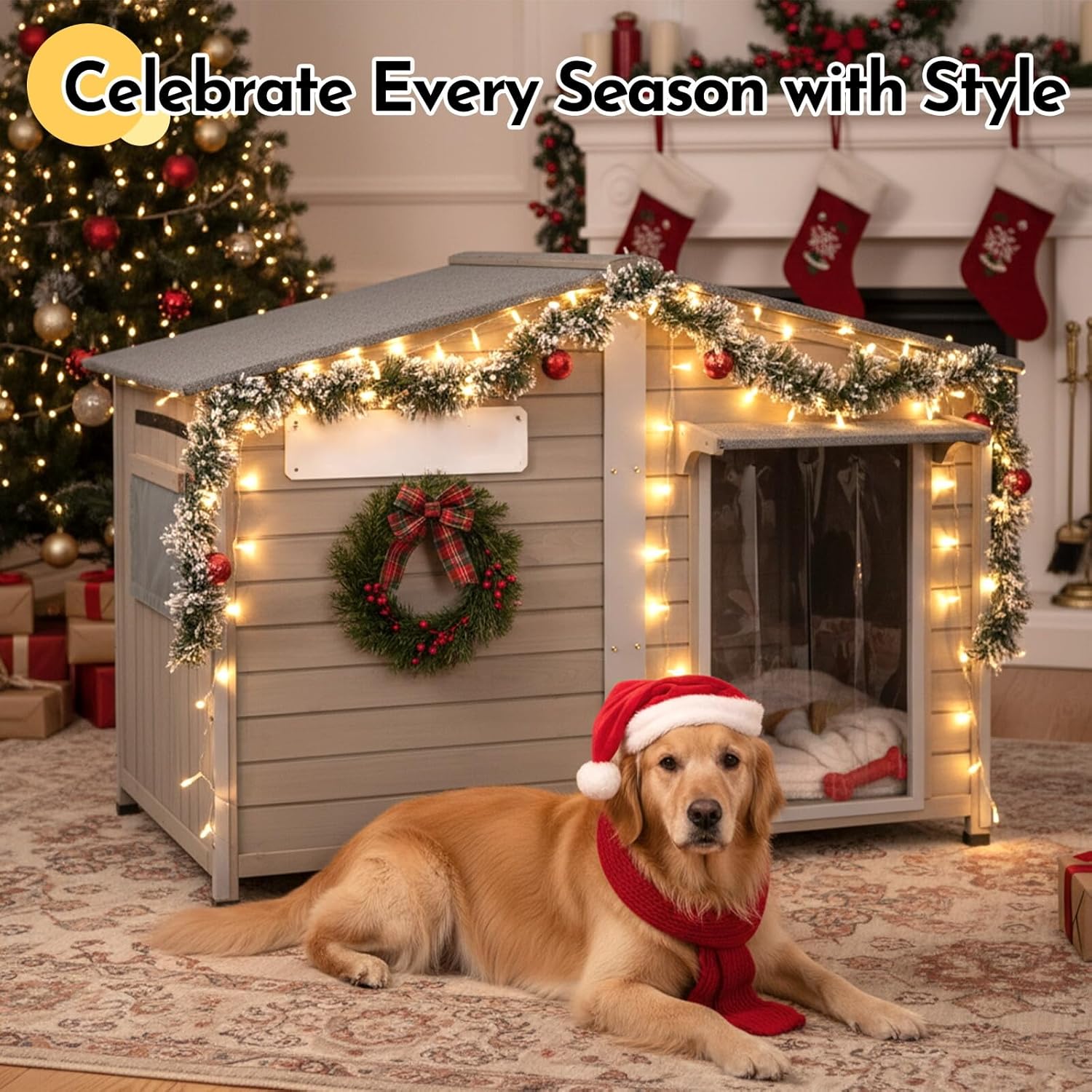 The Ultimate Shelter: A Review of the 55