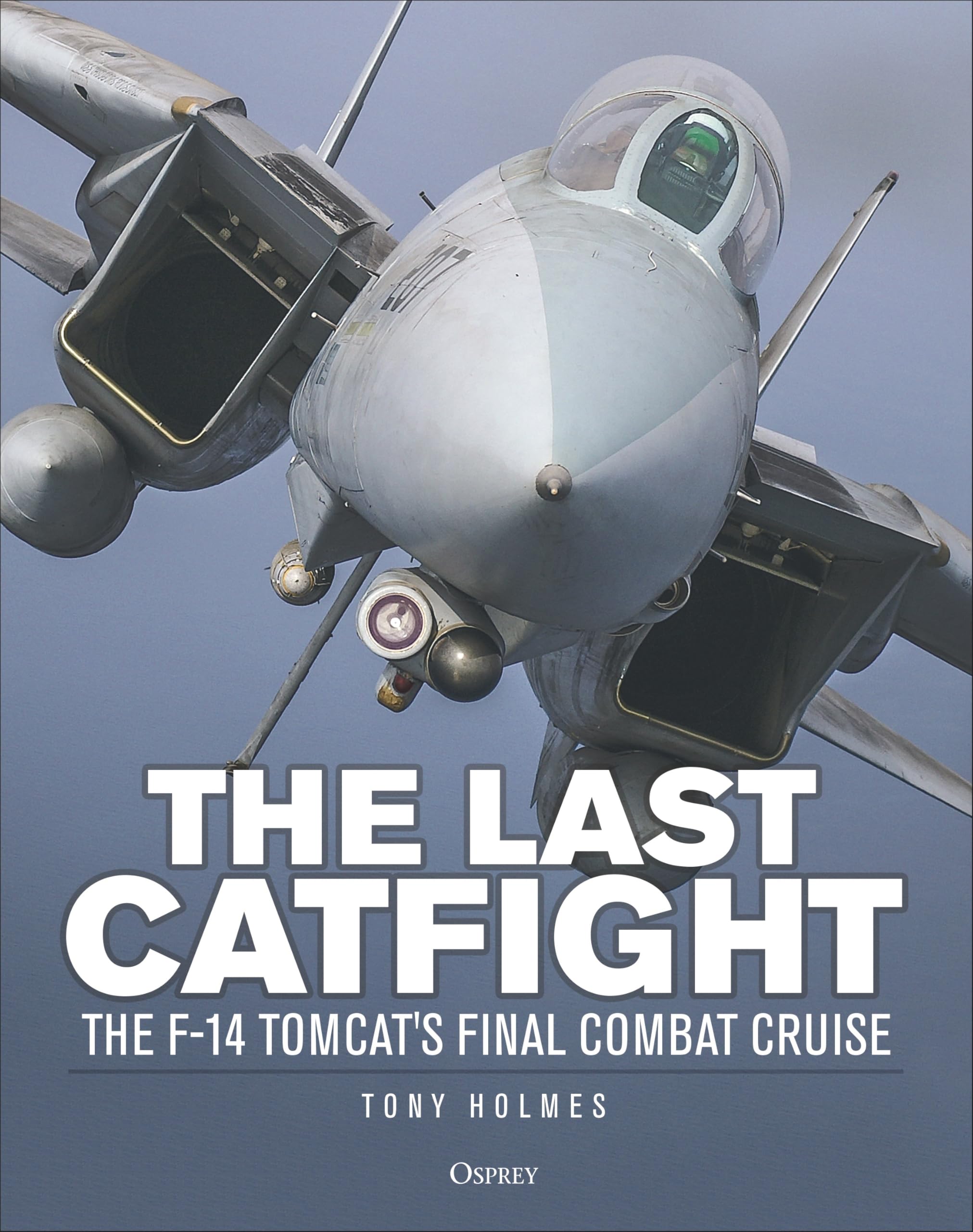 The Last Catfight: The F-14 Tomcats final combat cruise