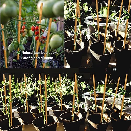 Miniatura 7 de Estacas de bambú para plantas, paquete de 20 palos de bambú de madera de jardín para estacas de apoyo natural estacas de jardín para tomates,