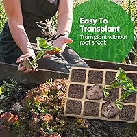 Vista 3 de Bandejas de inicio de plántulas de 288 células con orificios de drenaje, 24 macetas de turba biodegradables, kit de inicio de plántulas, bandejas