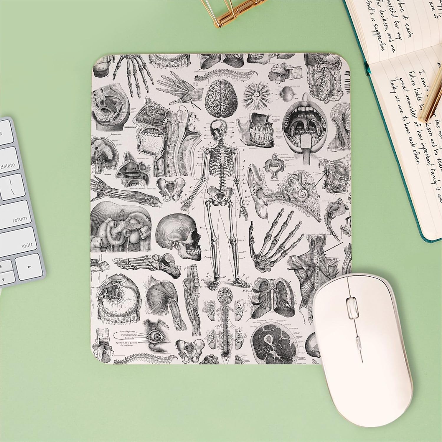 CafePress Anatomy_W_Twin_Duvet Mousepad Non-Slip Rubber Gaming Mousepad