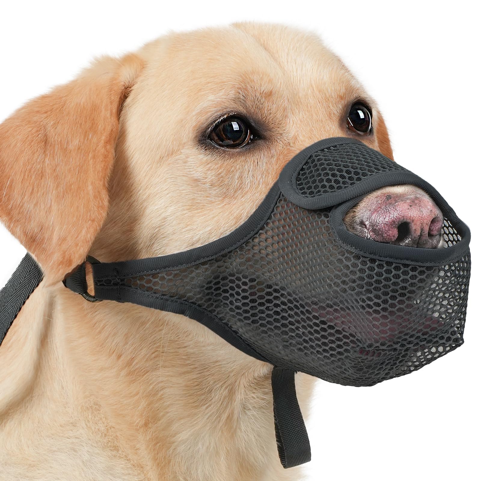 LUCKYPAW Dog Muzzle for Large Medium Small Dogs, Patented Mesh Muzzle to Prevent Biting Chewing Eating, Soft Mouth Guard with Front Opening Design for