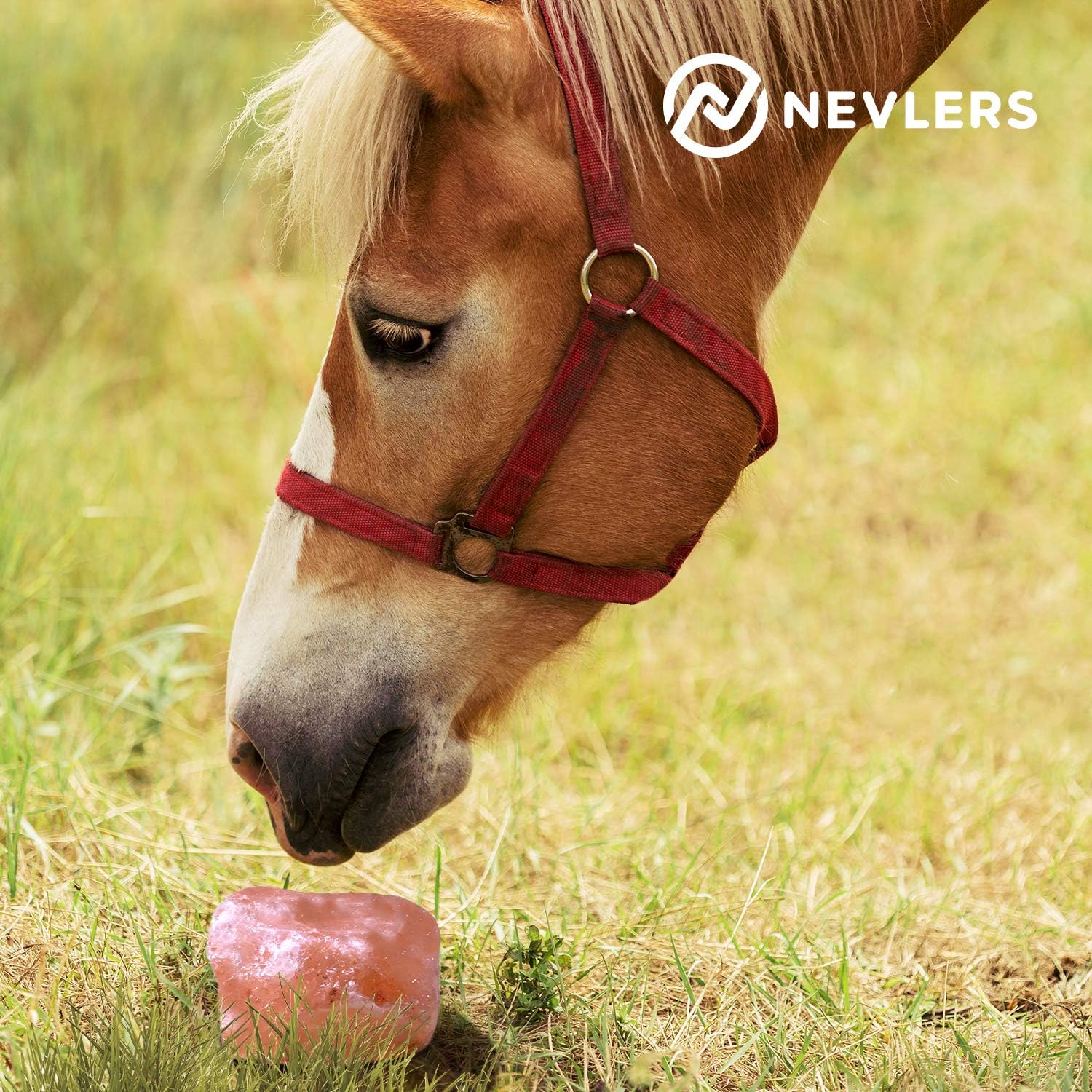 Nevlers 2 Pack All Natural Pure Himalayan Salt Licks for Animals - Great for Horses, Cows, Deer, and Other Livestock - Ropes Included - 4.5-6 lbs Each : Pet Supplies