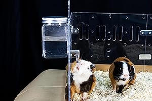 GuineaLoft™ Drip Free Water Bottle