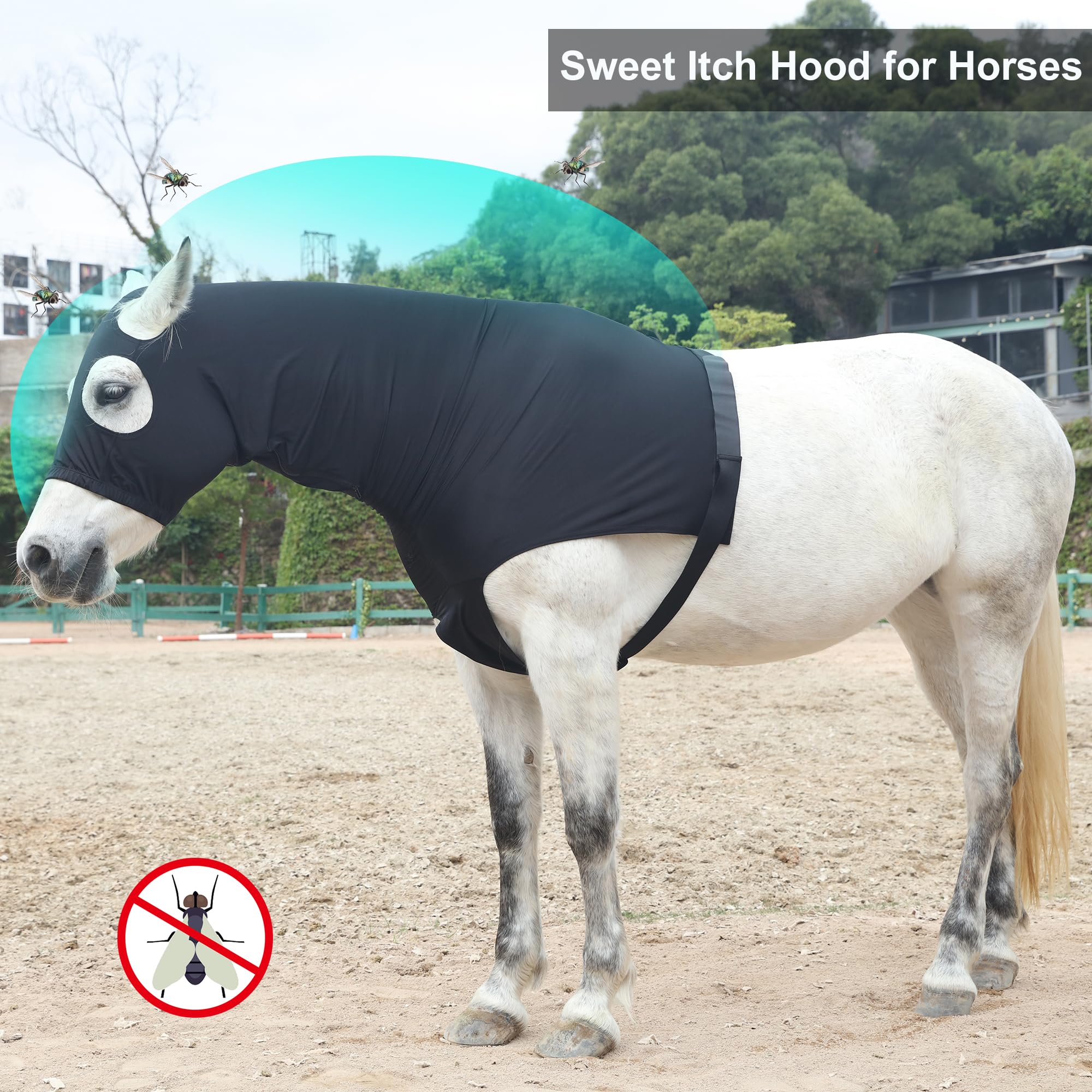 Cappottino da cavallo in tessuto Lycra elasticizzato con cerniera rinforzata e chiusura in velcro regolabile, cappuccio testa di cavallo con copertura integrale per il collo, nero, XXL