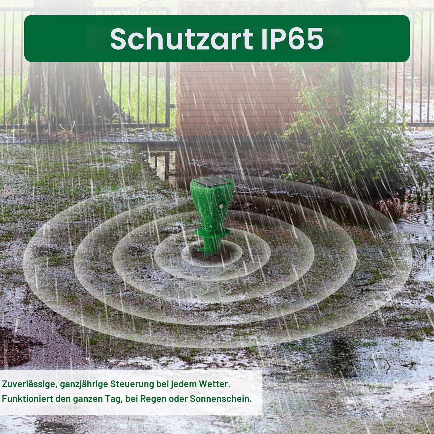 Maulwurf Vertreiber Solar mit KIWechselfrequenz, Maulwurfschreck &Wuhlmausschreck, Fluisterleise, IP65 wasserdicht, Effektive Maulwurf Abwehr Geg Maulwurfe und Wuhlmause, 4er Set