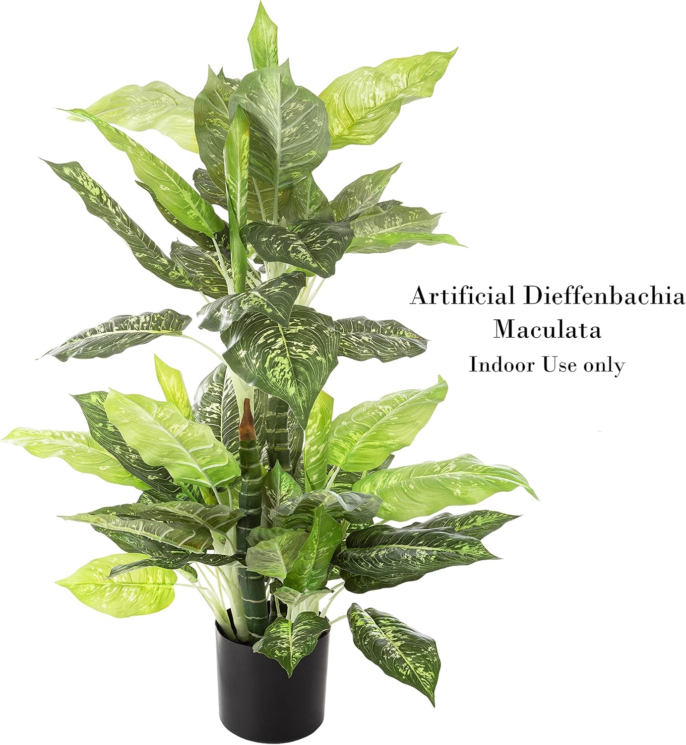 Pure Garden Artificial Dieffenbachia Floor Plant - 40-Inch Potted Faux Greenery for Home or Office Decoration - Natural Looking Polyester Leaves