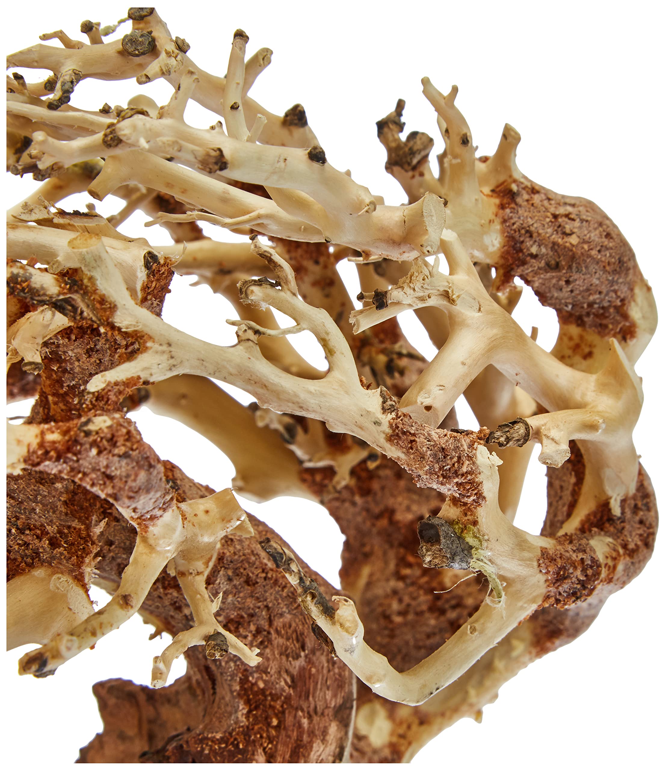 Amtra A8147651 Holz Oriental Wind 3, S