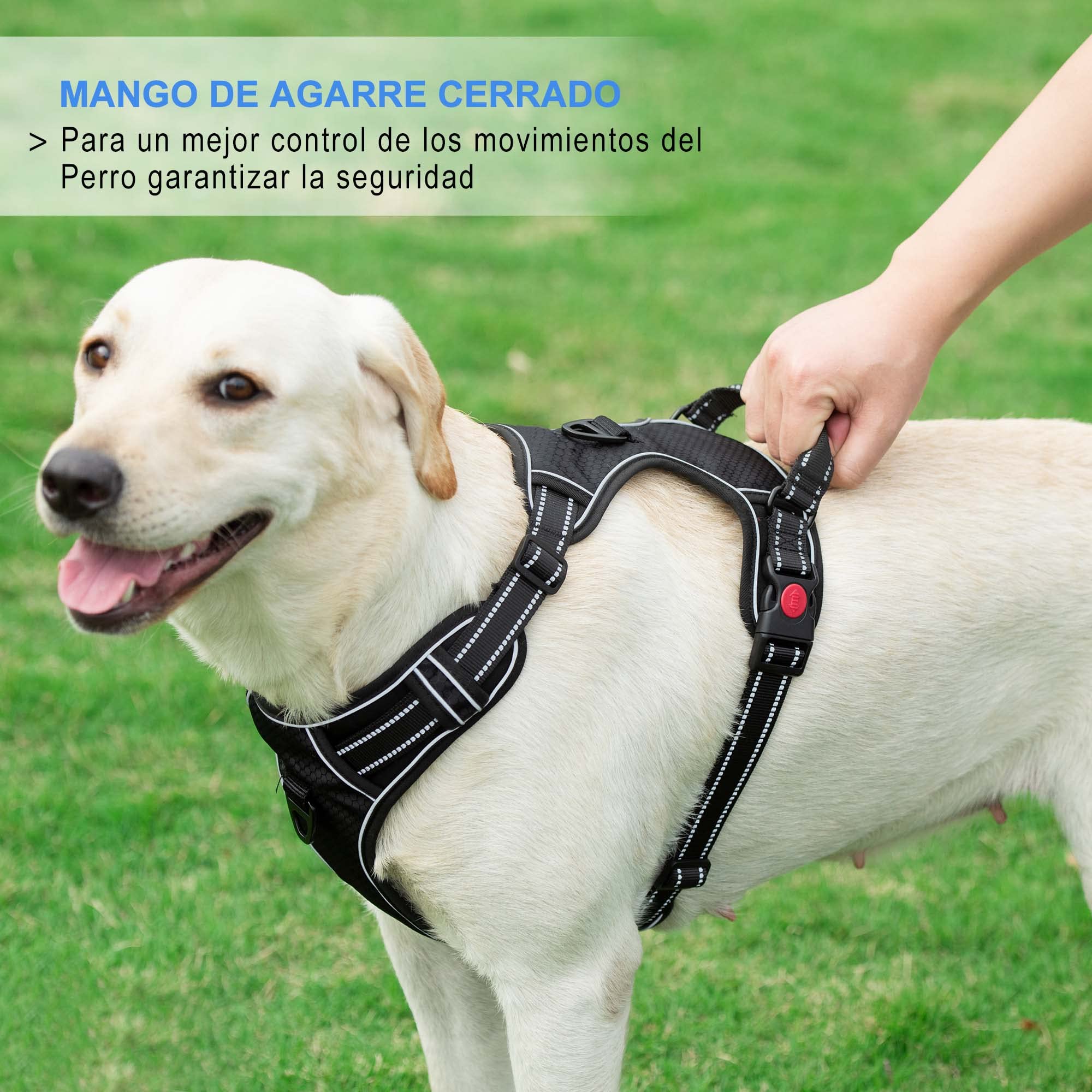 haapaw Arnés para Perro sin Tirar, Ajustable, Reflectante Oxford, fácil de controlar, Mediano y Grande, con una Correa para Perro Resistente
