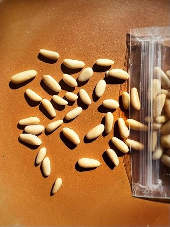 Italian Pine Nuts Pinoli - Roberto Panizza, Liguria - 250g bag