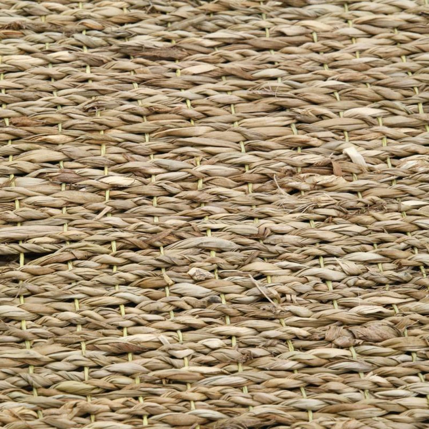 AUBRY GASPARD - Tapis en Jonc - 200 x 80 cm - Finitions 100% Naturel - Attaches en Nylon - Marron Clair - Entretien Facile - Design Épuré et Authentique pour Intérieur Élégant