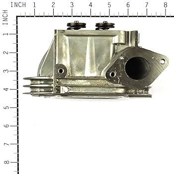 Amazon.com : Briggs & Stratton 796231 Cylinder Head Replaces