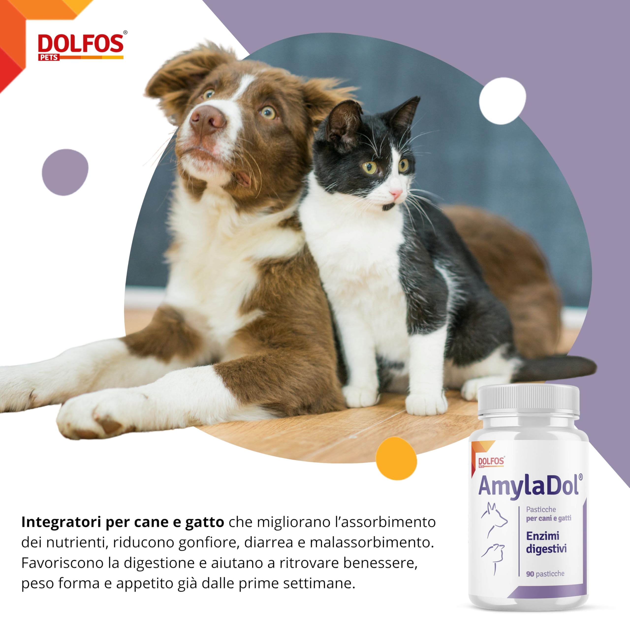 Pets Dolfos AmylaDol 90 Compresse Enzimi digestivi Naturali: Amilasi, Lipasi e Proteasi. Alimento complementare dietetico in Caso di disturbi digestivi dei Cani e dei Gatti