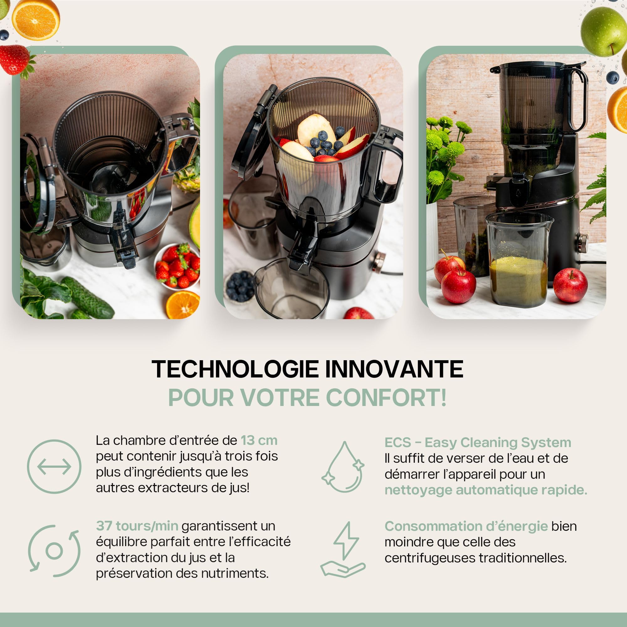 Centrifugeuse Extracteur de Jus 135 mm, Masticating Juicer 0,5L, 37 tr/min, 4SWISS