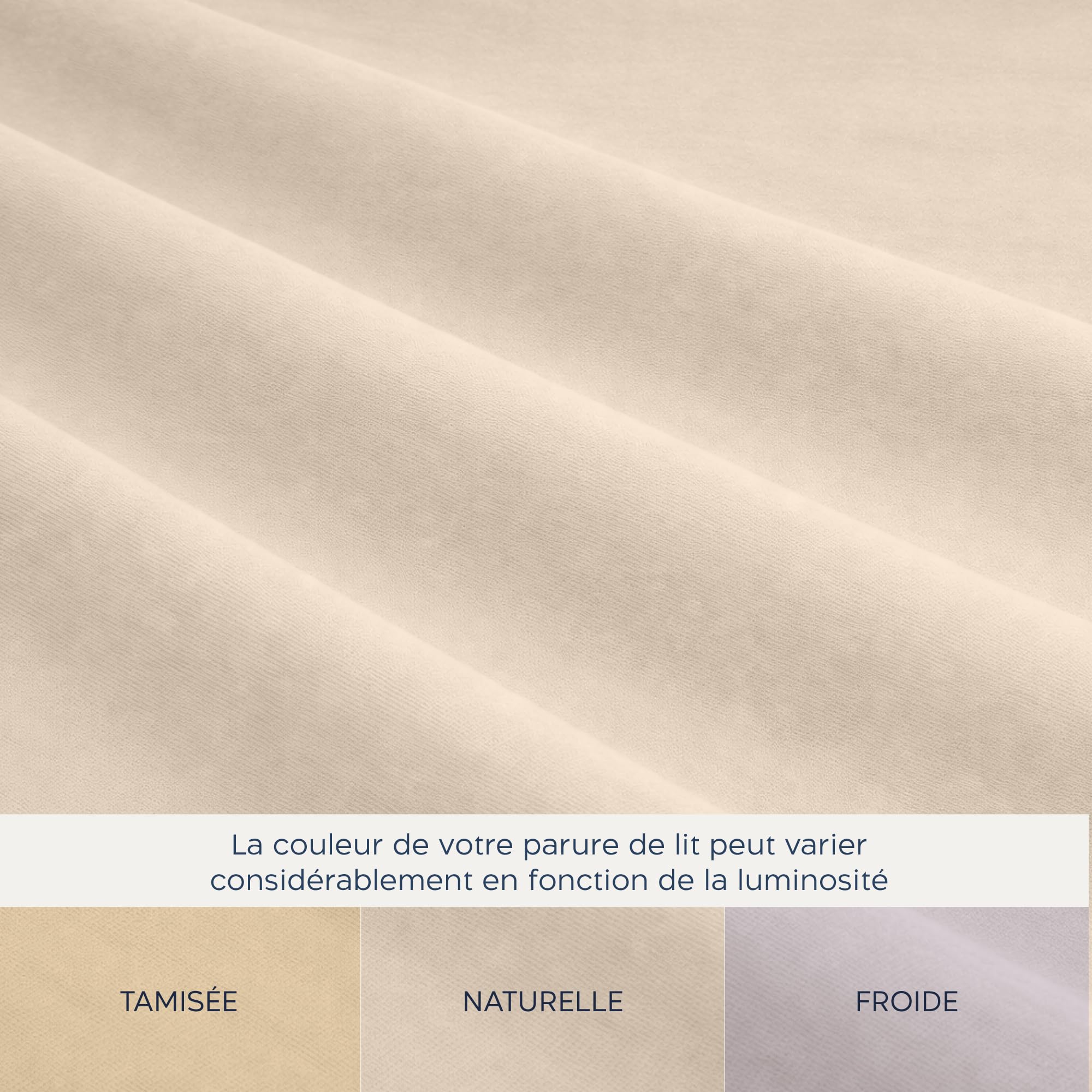 Twinzen Parure de lit 160 x 200-4 pièces - Housse de Couette 220x240 cm, Drap Housse 160 x 200 cm avec 2 taies d’Oreiller 65x65 cm - Microfibre brossée, Oeko-Tex - Beige