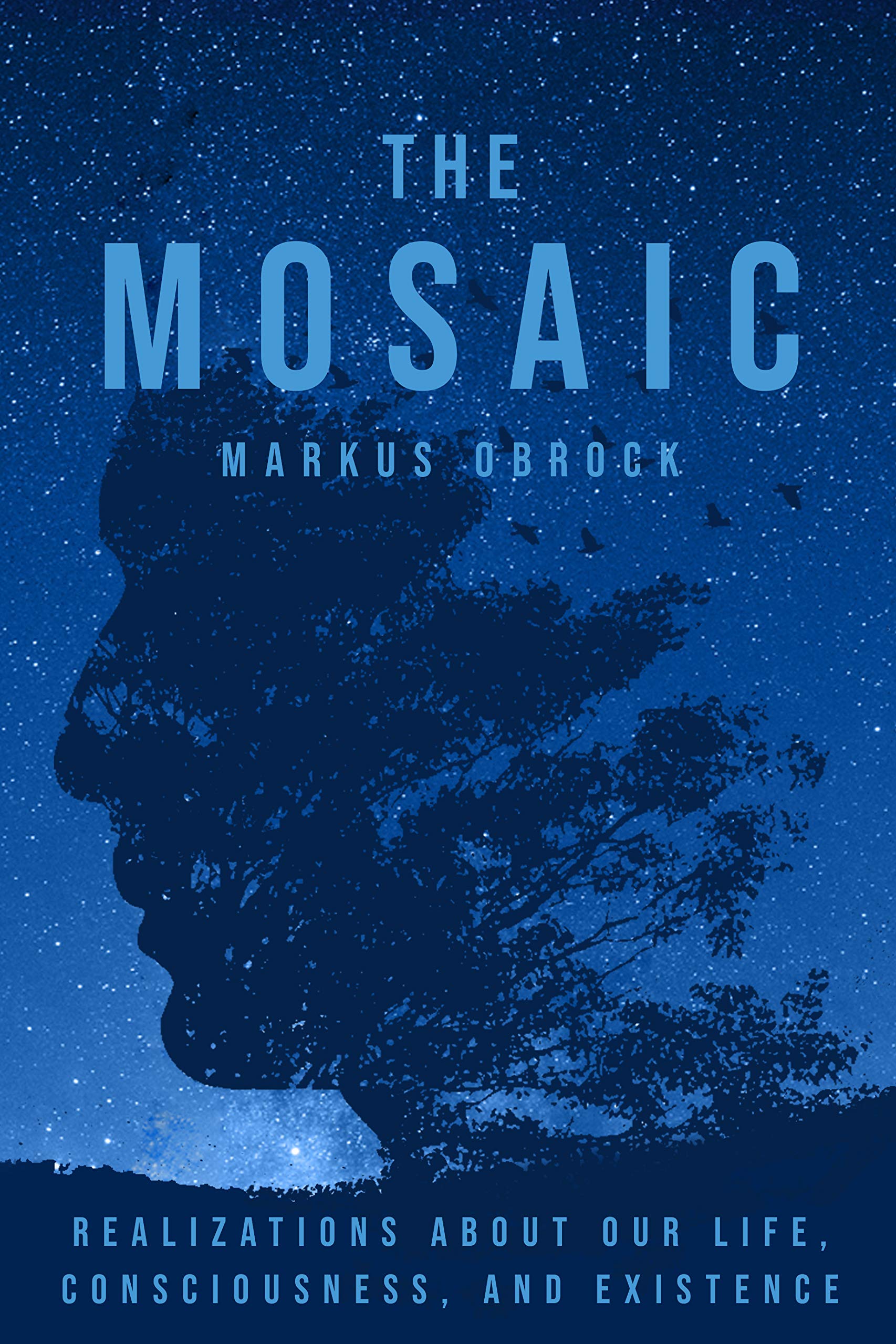 The Mosaic: Realizations about Our Life, Consciousness, and Existence