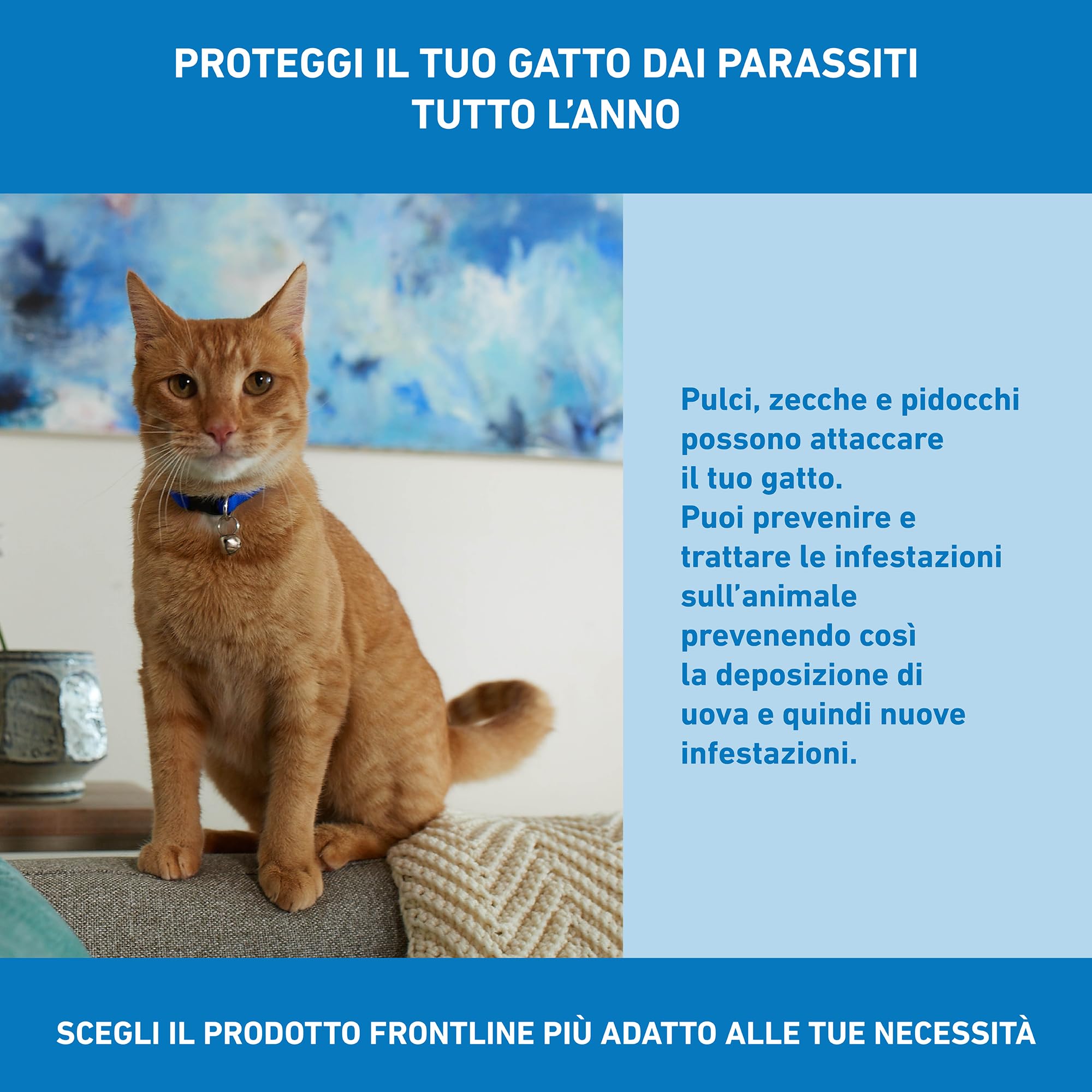 FRONTLINE Spot On, 3 Pipette, Gatto, Antiparassitario per Gatti e Gattini di Lunga Durata, Protegge da Zecche, Pulci e Pidocchi, Antipulci in Confezione da 3 Pipette da 0.5 ml