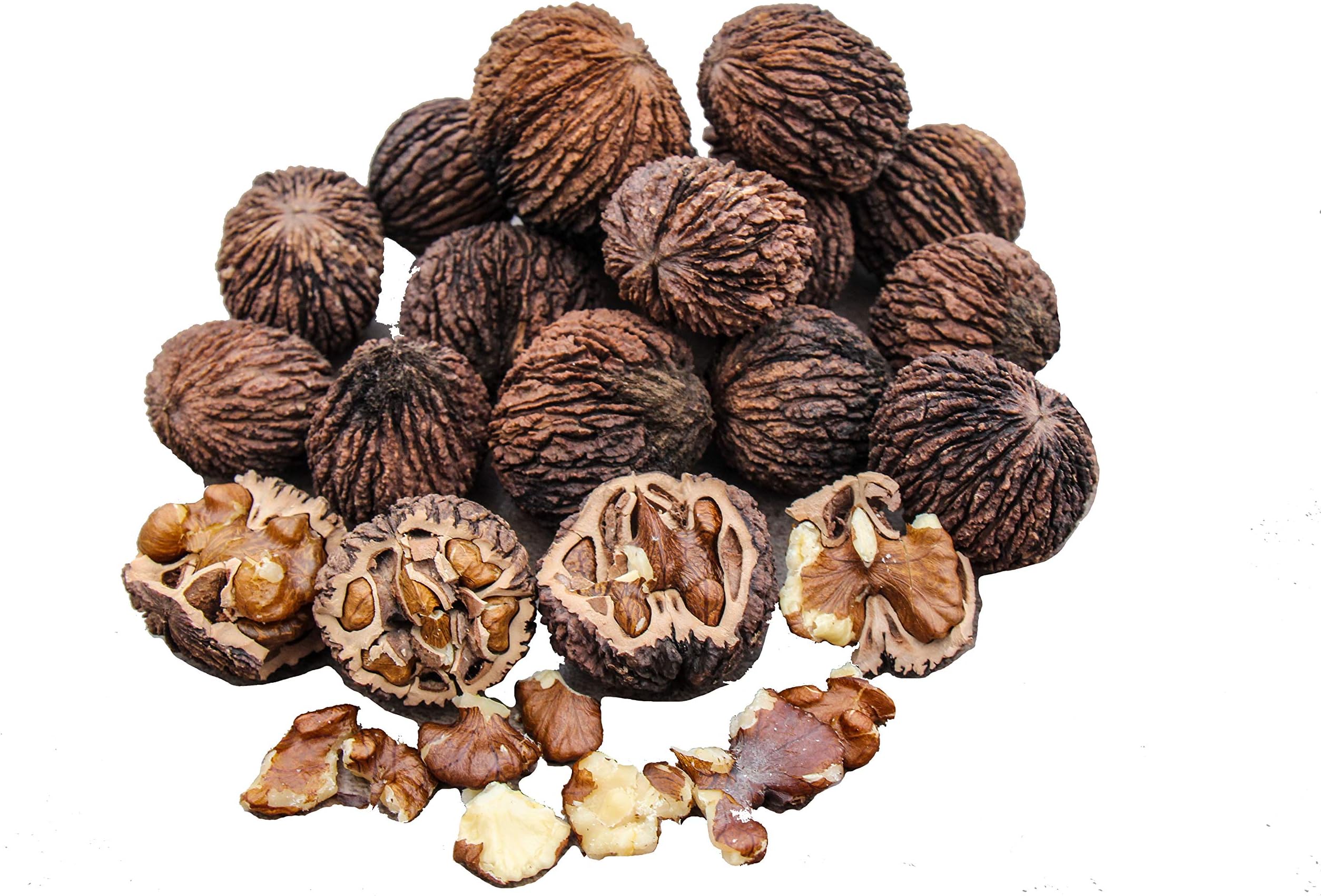 BlueApe LLC Refill for Feeder - Missouri Harvest 2017 Fresh Whole Black Walnuts 5 Pounds in Shell Organic Perfect Squirrel Food - Black Walnut Tree Seeds Juglans Nigra …