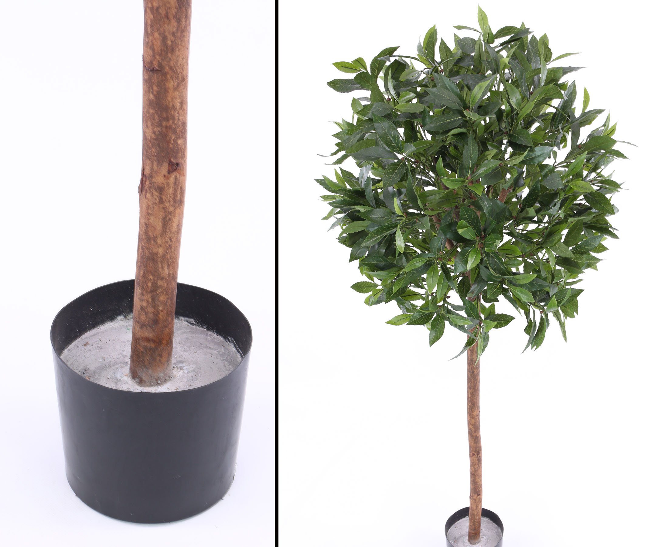 Amazon.de: Knstlicher Lorbeerbaum Lorbeer Kugel auf Echtholzstamm 140cm  hoch mit schwer entflammbarer Blattkrone mit ca. 60cm Durchmesser im Topf