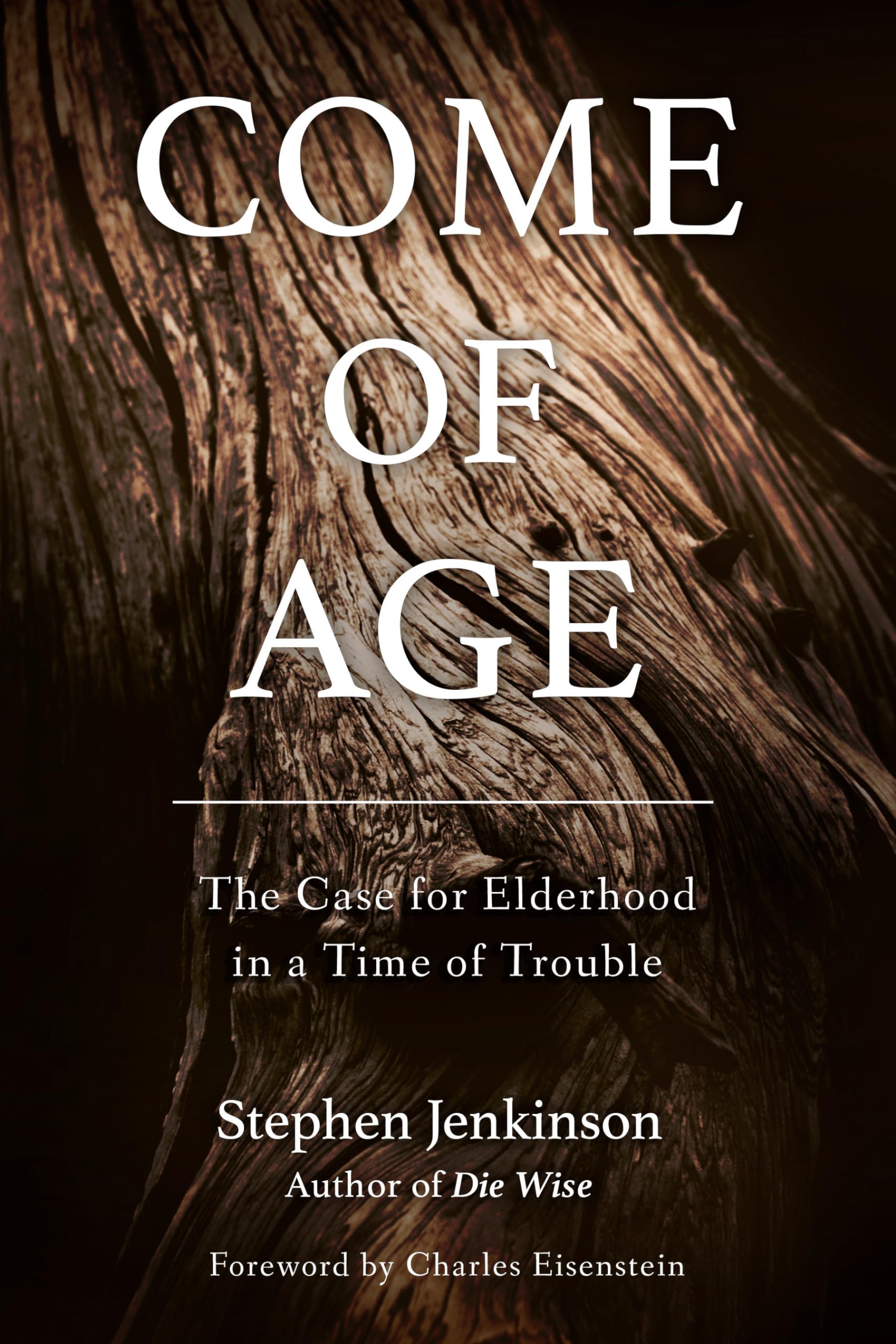 Come Of Age: The Case for Elderhood in a Time of Trouble